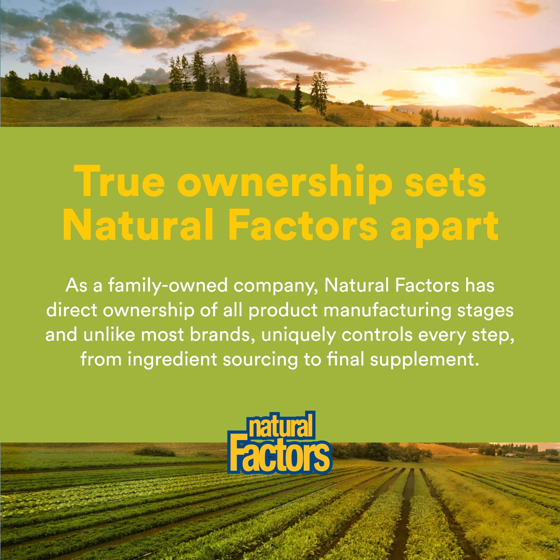 Whole Earth & Sea from Natural Factors, Women's Multivitamin & Mineral, Whole Food Supplement, Vegan, 60 tablets (30 servings) Natural Factors buy supplements canada