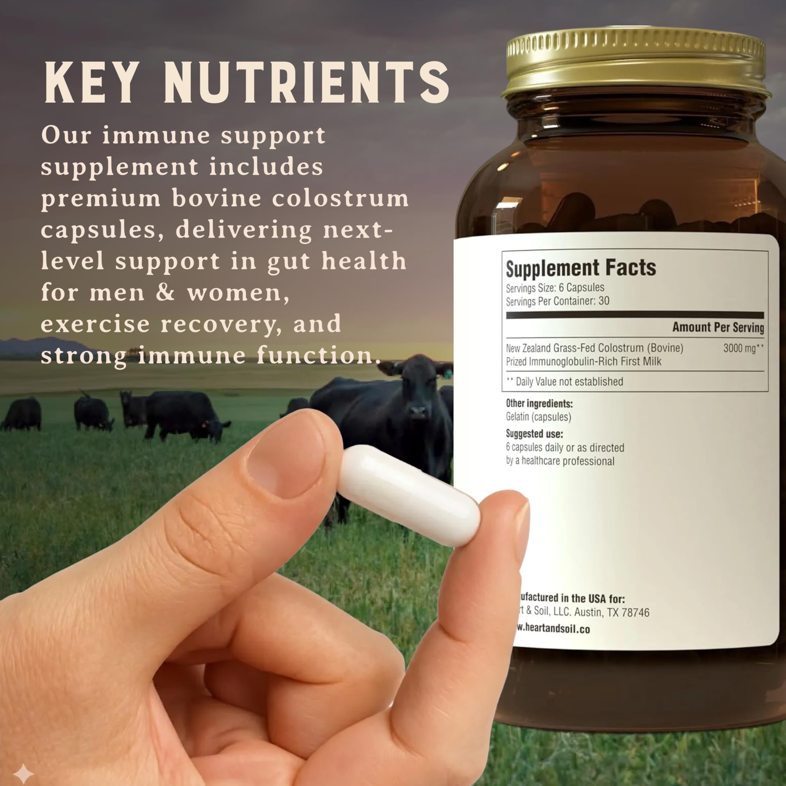 HEART & SOIL 100% Grass Fed & Finished Colostrum Supplement from Regenerative Cattle for Gut, Muscle & Immune Health – 3000mg Bovine Colostrum Capsules - Gut Health for Men & Women –180 Capsules HEART & SOIL buy supplements canada