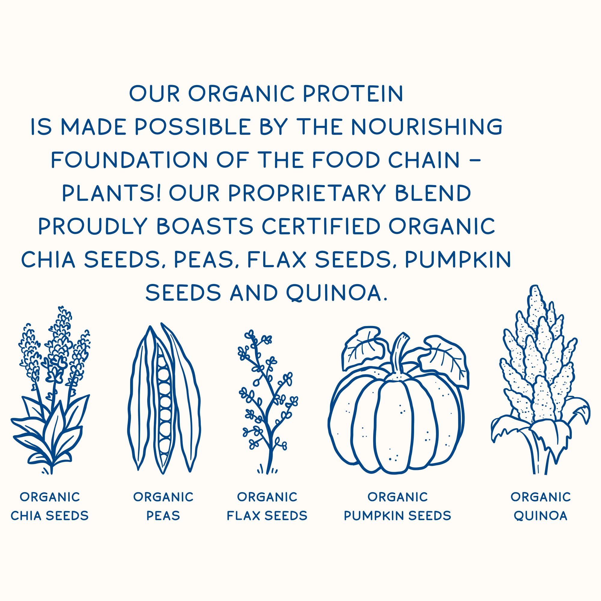 KOS Plant Based Protein Powder, Blueberry Muffin - Organic Pea Protein Superfood KOS buy supplements canada