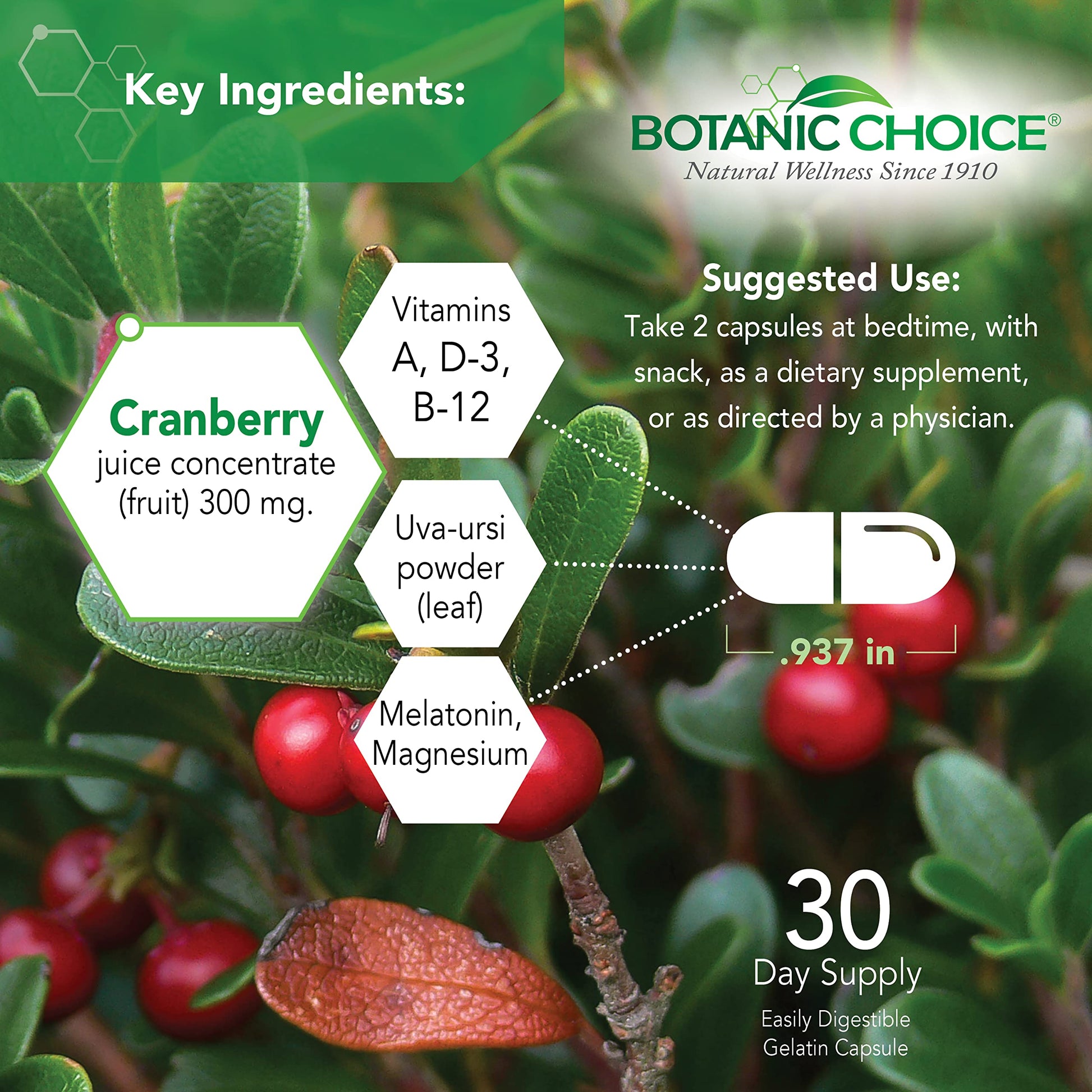 Botanic Choice Pro-Advanced Urinary Formula-Blend for Urinary Tract Health Support - Magnesium Cranberry Uva Ursi Damiana - 60 Capsules Botanic Choice buy supplements canada