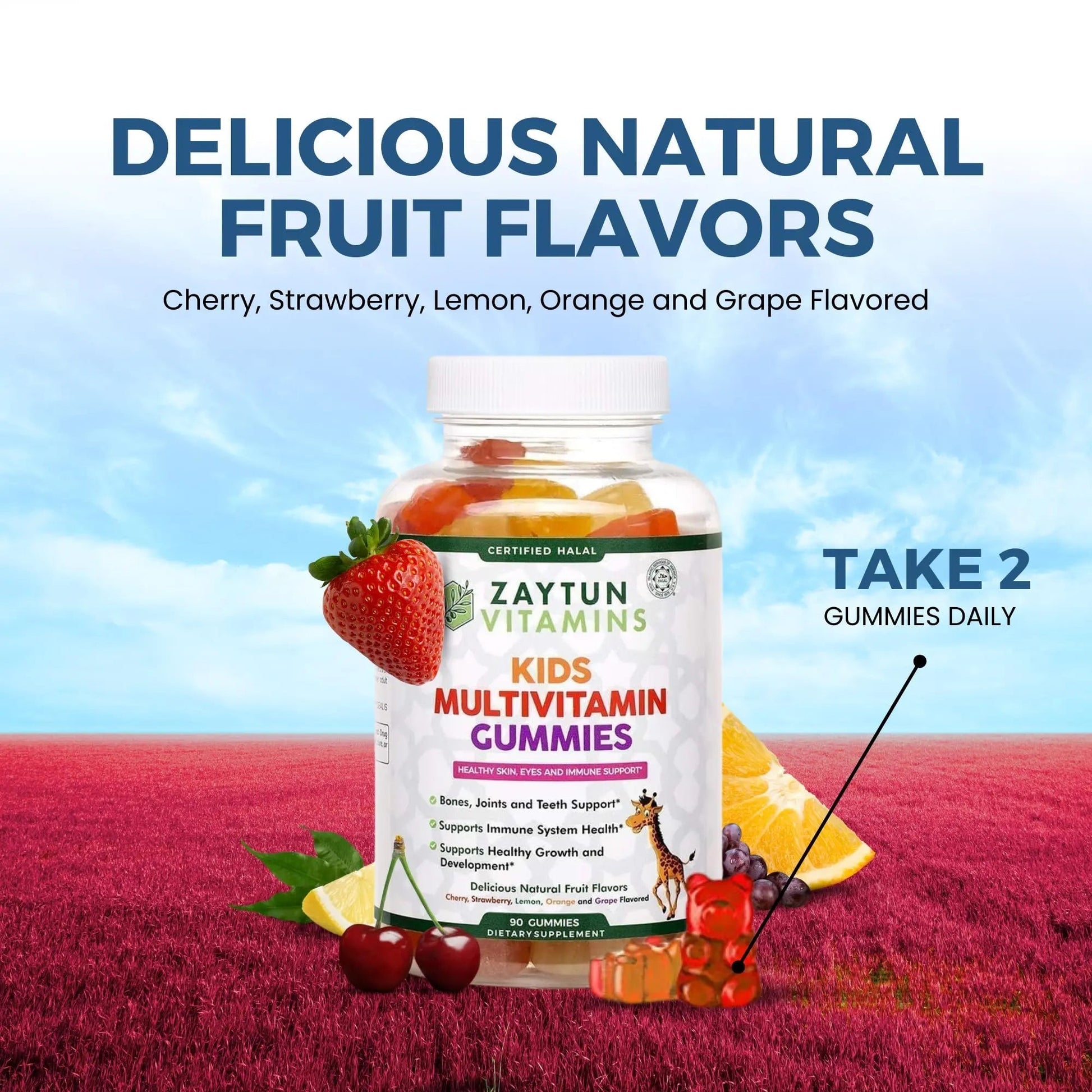 Zaytun Halal Vitamins for Kids Multivitamin Gummies, Naturally Sourced Vitamin A, C, D, E, B6, B12, Biotin - Vegetarian, No Gelatin Zaytun Vitamins buy supplements canada