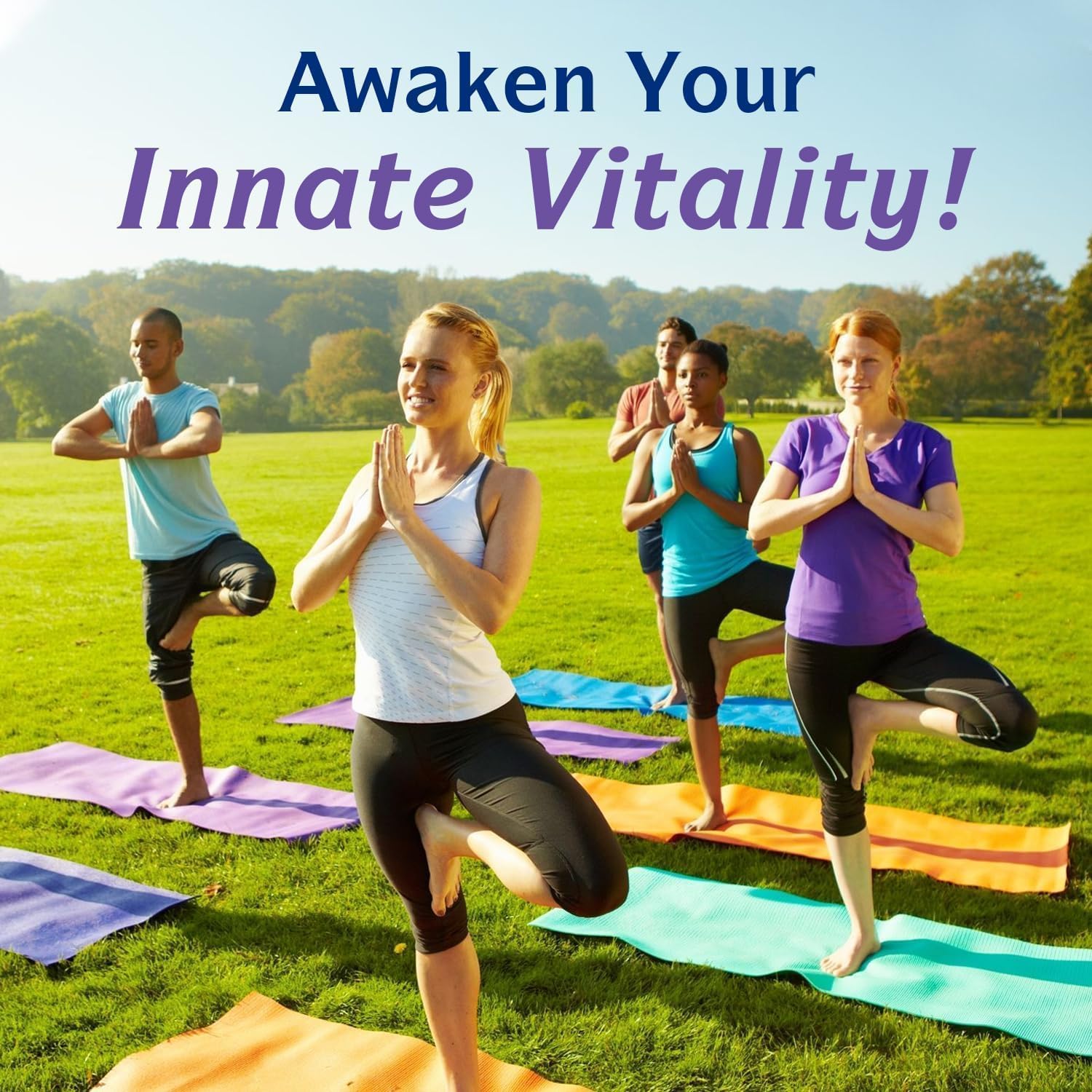 Innate Vitality 12-in-1 Magnesium Complex, 500 mg Elemental Mag, with Magnesium Glycinate Malate Taurate Aspartate & More, Innate Vitality buy supplements canada