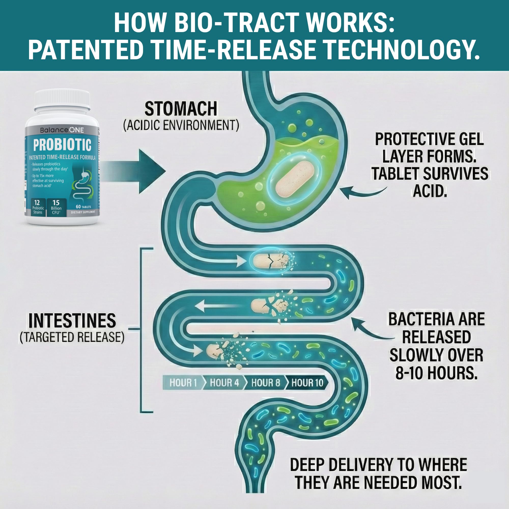 Balance ONE Time Release Probiotic – 15 Billion CFU – 12 Strains Including L. Plantarum – 15x More Survival Than Capsules – Bloating & Gas Relief – Gut & Digestive Health for Women & Men – 60 Tablets Balance ONE buy supplements canada