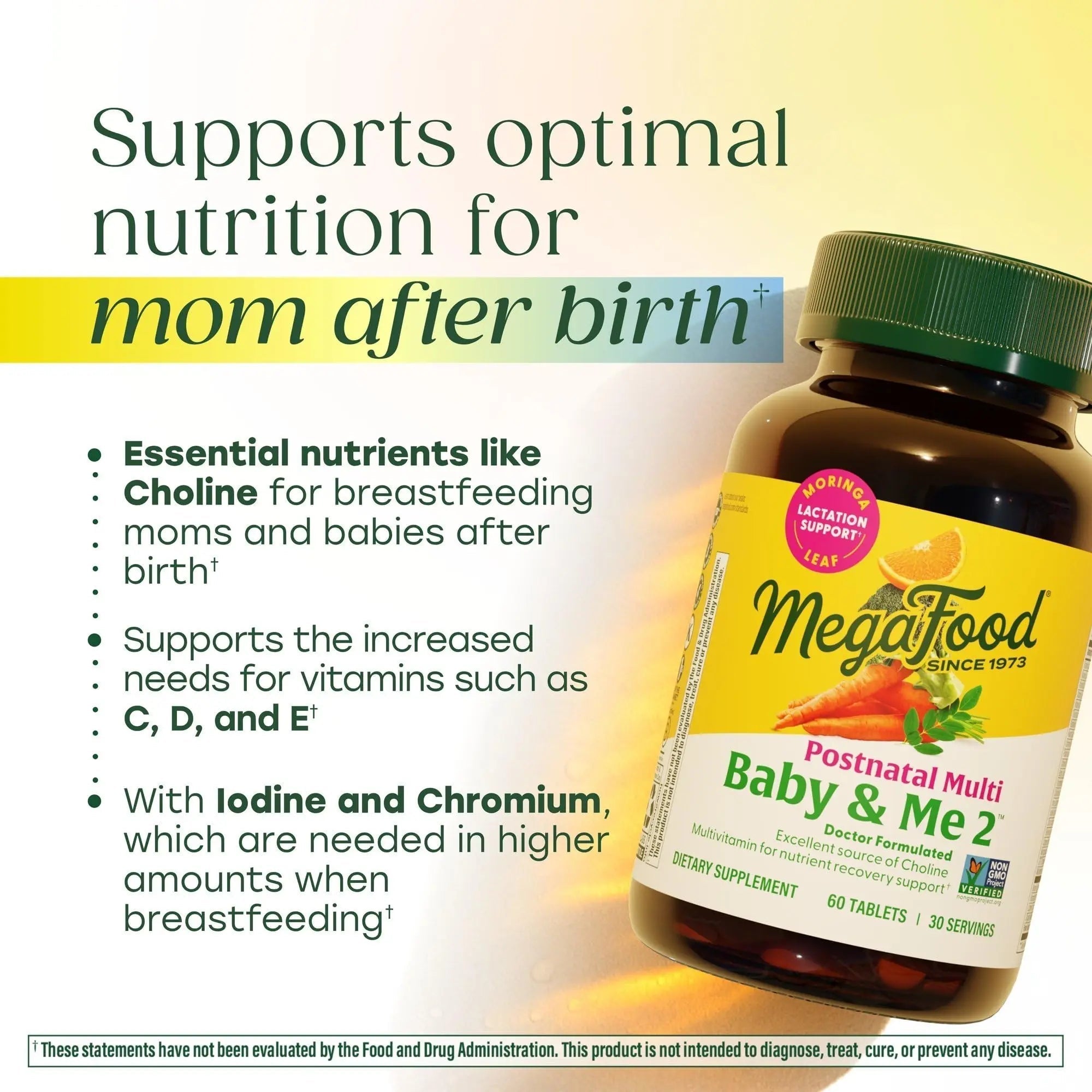 MegaFood Baby & Me 2 Postnatal Vitamins for Women Breastfeeding with Folate (Folic Acid Natural Form), Choline, Iodine, Vitamin D MegaFood buy supplements canada