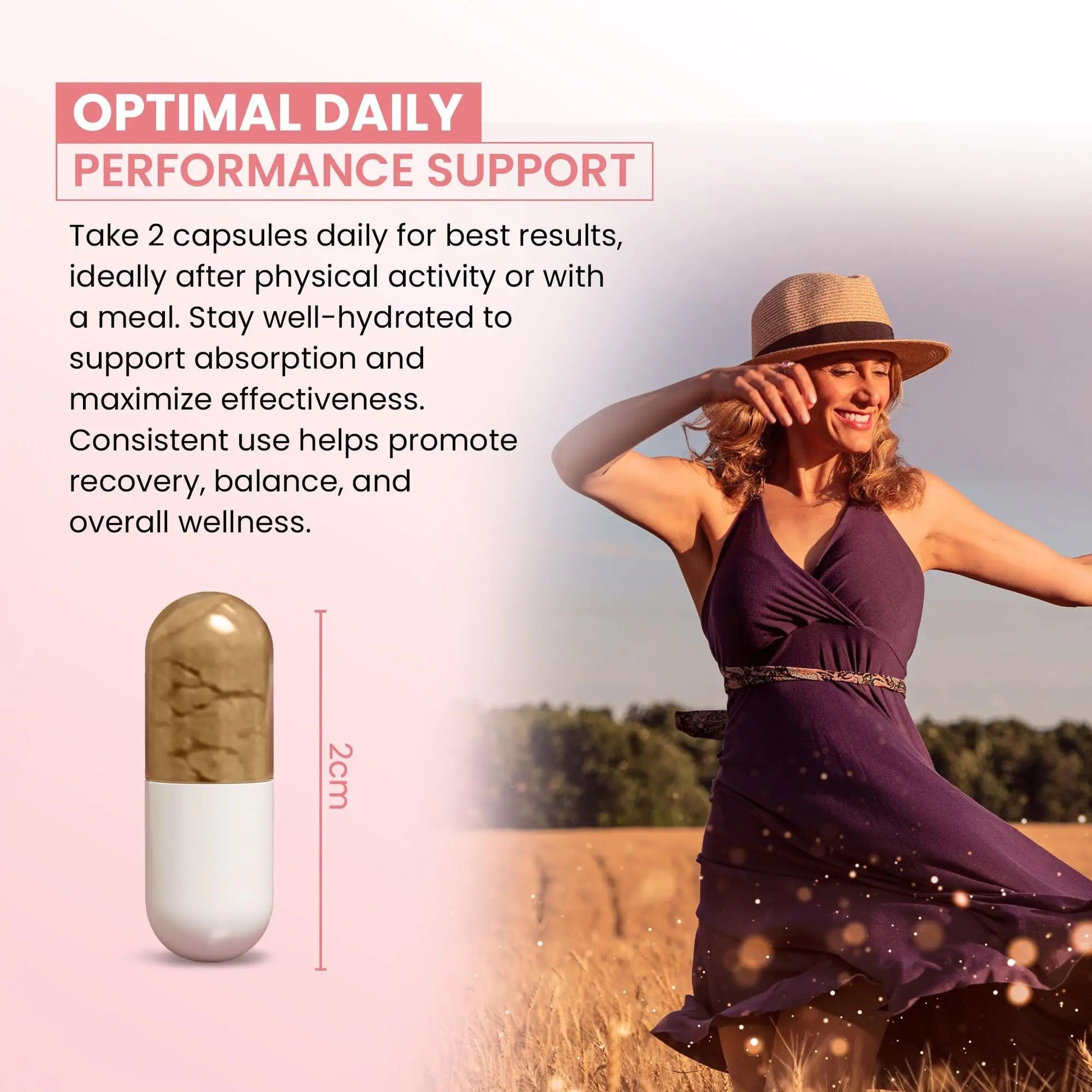 ZEN LIFE HERB UTFREx – Fast Acting - Promotes Urinary Tract Health Supports Healthy Immune and Urinary System, No Vitamins, Minerals, Prebiotics, Sugar, Plant-Based Supplement (60 Capsules) ZEN LIFE HERB buy supplements canada