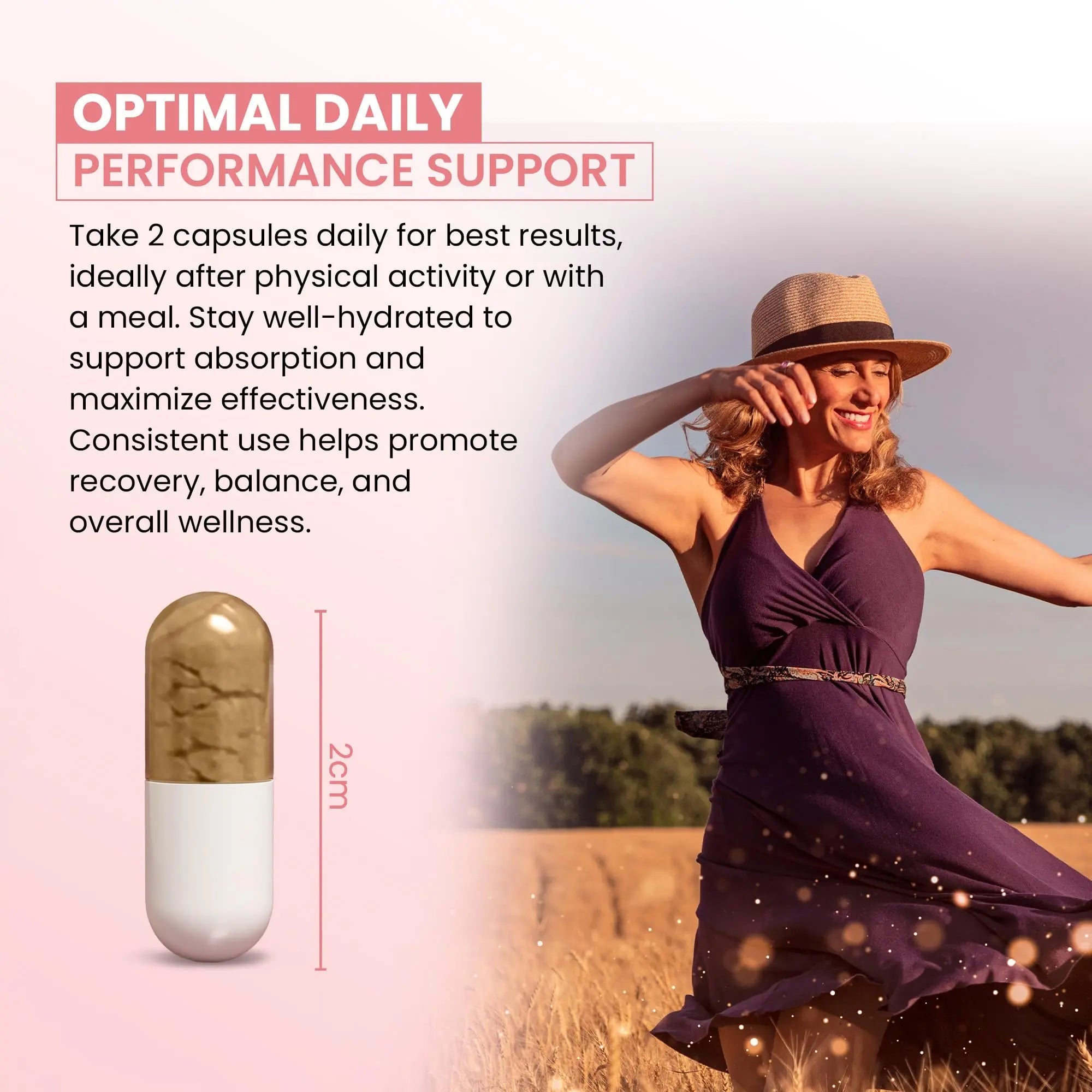 ZEN LIFE HERB UTFREx – Fast Acting - Promotes Urinary Tract Health Supports Healthy Immune and Urinary System, No Vitamins, Minerals, Prebiotics, Sugar, Plant-Based Supplement (60 Capsules) ZEN LIFE HERB buy supplements canada