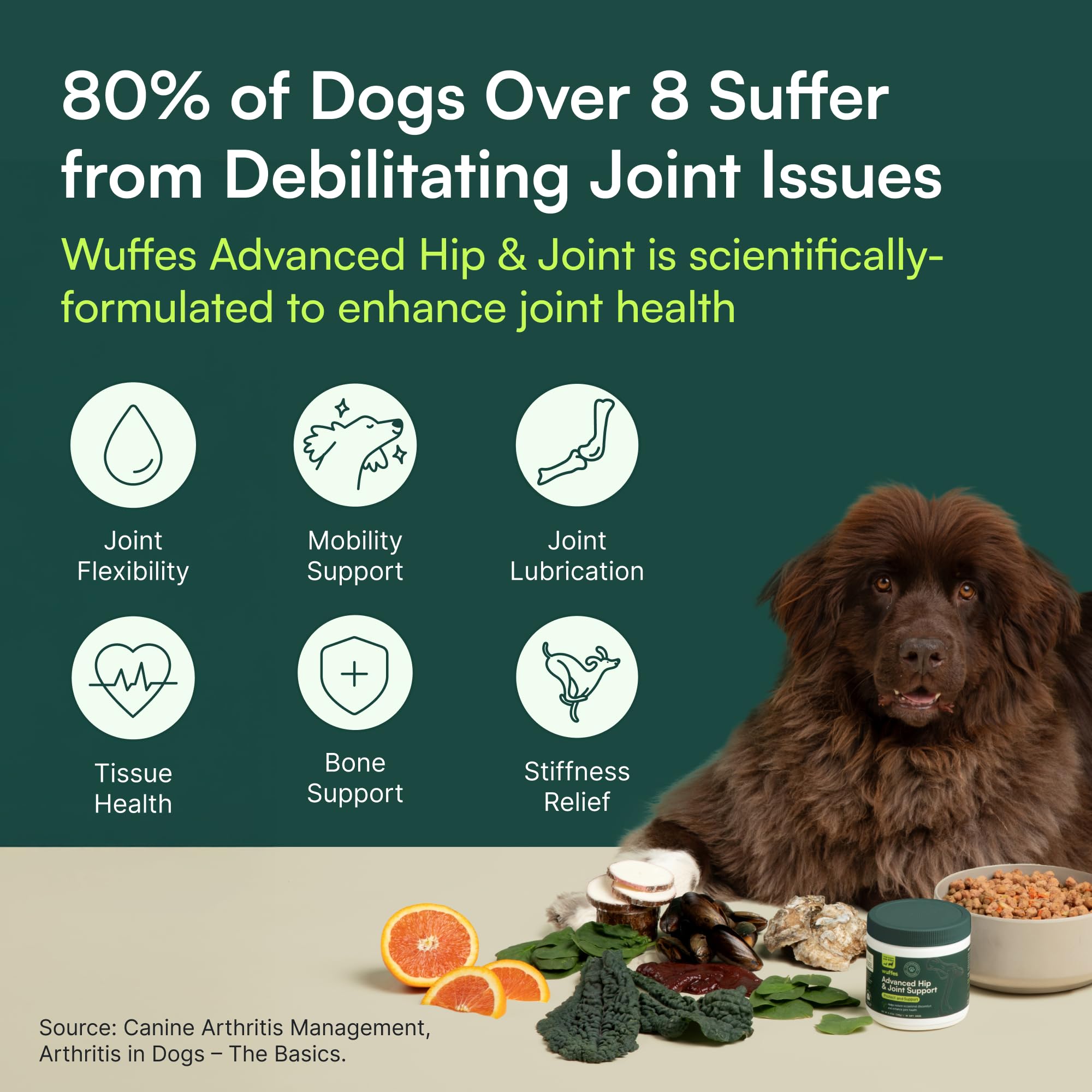 Wuffes Chewable Dog Hip & Joint Supplement - Glucosamine & Chondroitin Chews - Dog Joint Supplements & Vitamins - Extended Joint Care (Large Breed (Over 65 lbs), 60 Chews (Pack of 2)) Wuffes buy supplements canada