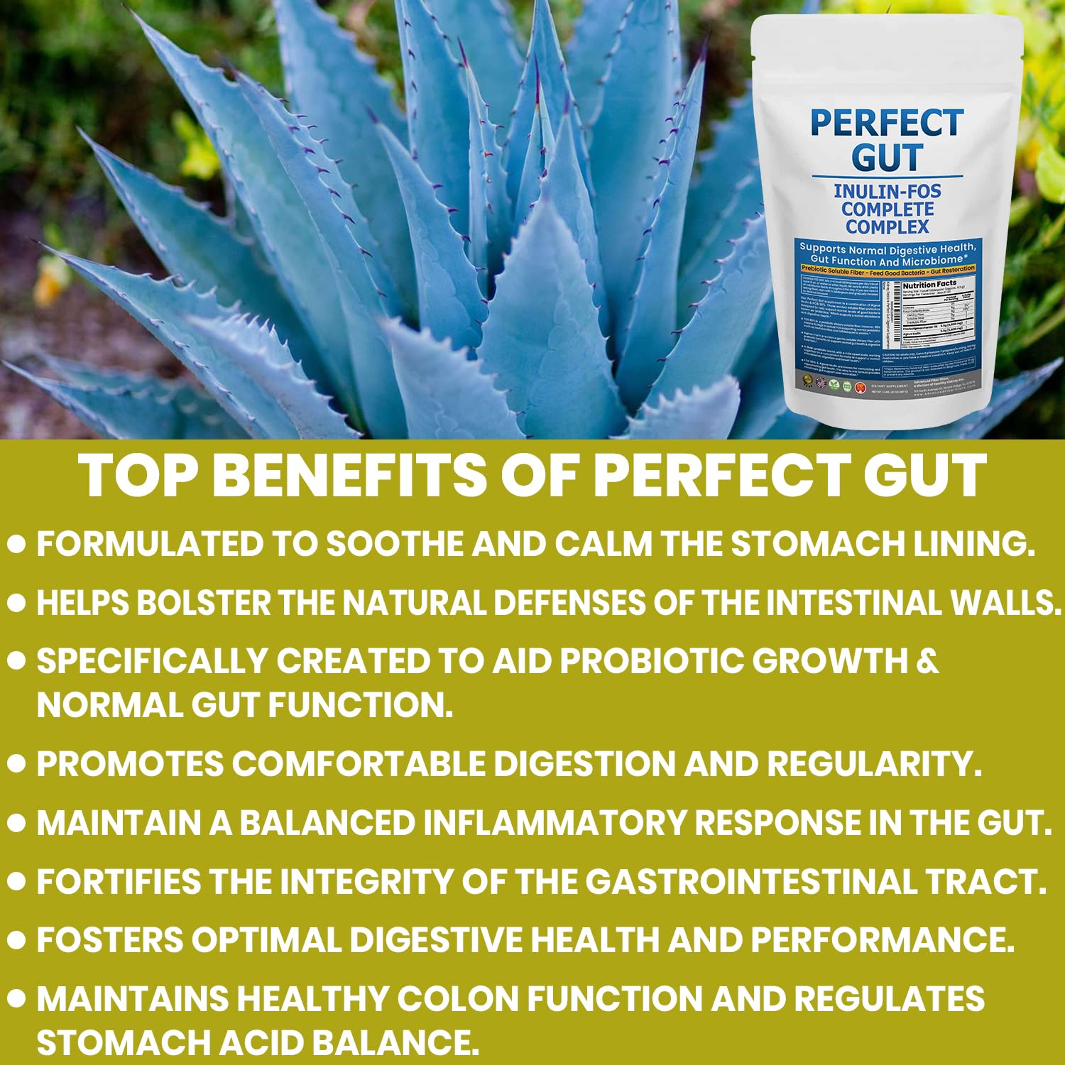 Perfect Gut: Inulin FOS Powder for Gut Health. Prebiotic Inulin. Unique Prebiotic 95% FOS Inulin Agave Fiber Kidney Restore buy supplements canada