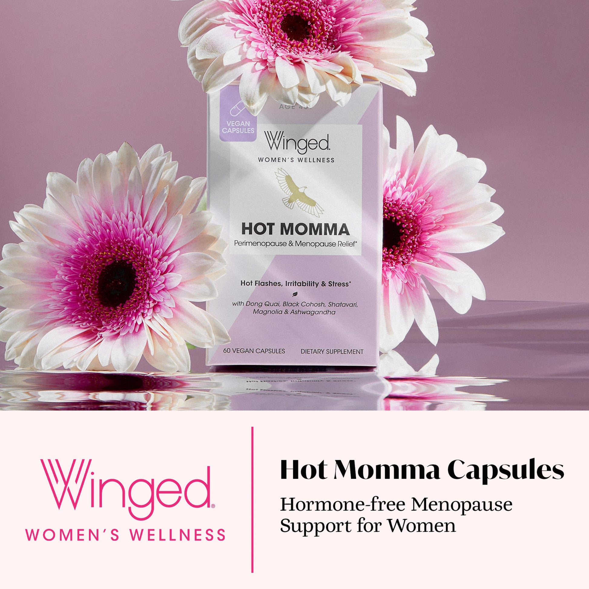 Winged Wellness Hot Momma Menopause Supplements for Women - Hormone-Free Menopause Relief Support for Hot Flashes & Night Sweats with Chaste Tree Berry, Multivitamins & Shatavari - 60 Vegan Capsules Winged Wellness buy supplements canada