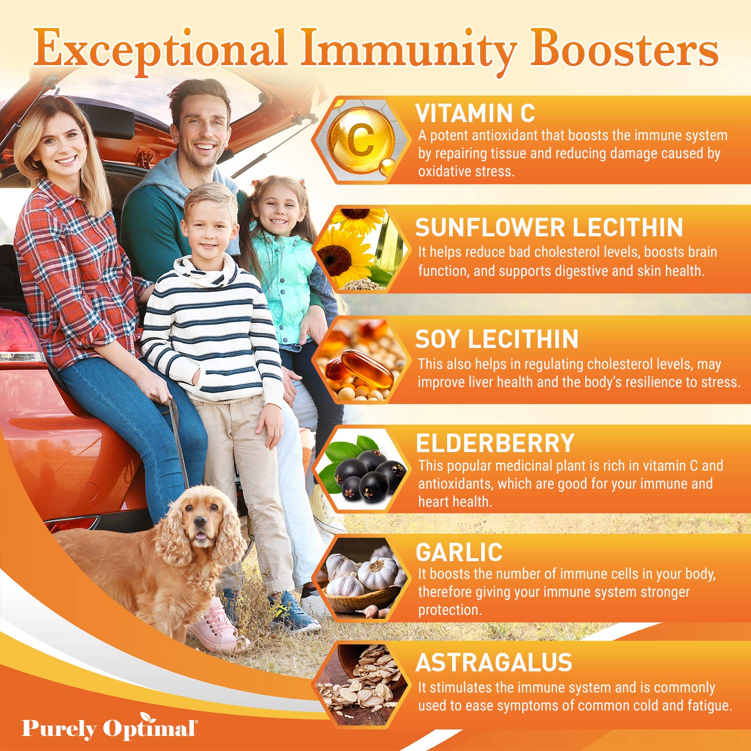 Premium Liposomal Vitamin C Supplement - High Absorption, Fat Soluble Ascorbic Acid Purely Optimal buy supplements canada