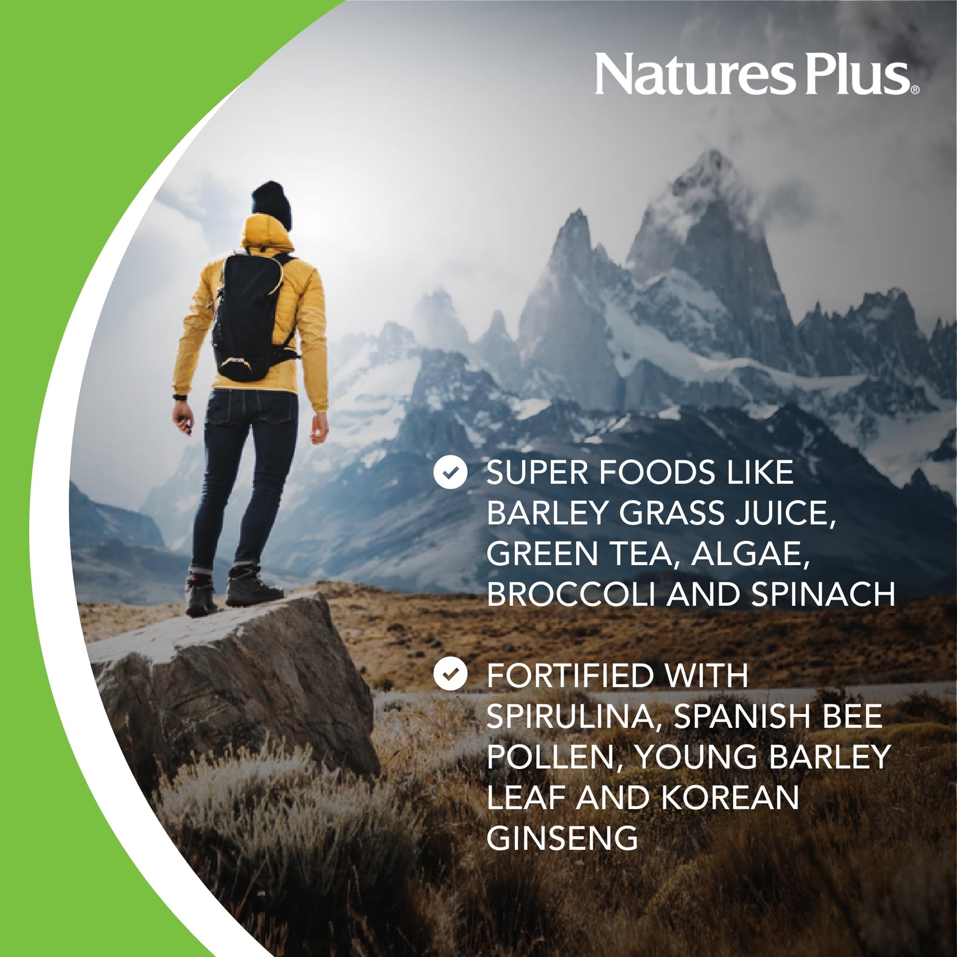 NaturesPlus FRUITEIN Revitalizing Green Foods Shake - 1.3 lbs - Plant-Based Protein (13g/Serving) - Supports Energy & Immune System - Vegetarian, Gluten Free & Non-GMO - 16 Servings NaturesPlus buy supplements canada