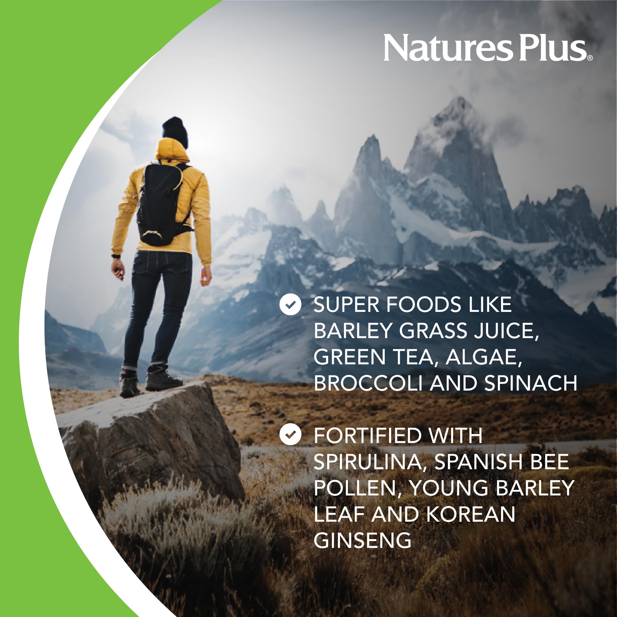 NaturesPlus FRUITEIN Revitalizing Green Foods Shake - 1.3 lbs - Plant-Based Protein (13g/Serving) - Supports Energy & Immune System - Vegetarian, Gluten Free & Non-GMO - 16 Servings NaturesPlus buy supplements canada