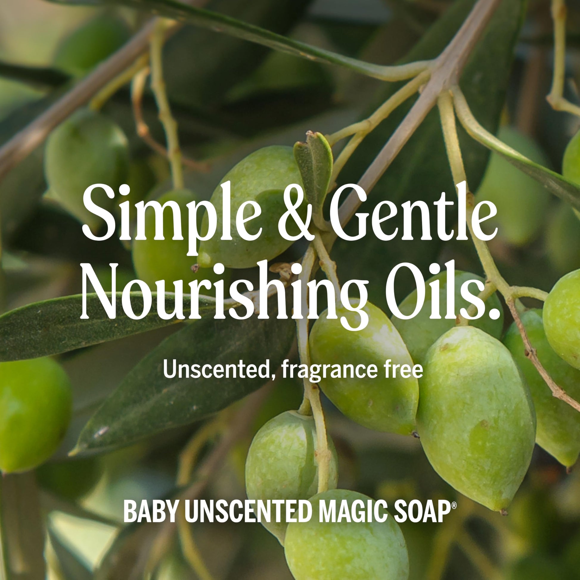 Dr. Bronner's Pure-Castile Magic Liquid Soap (Baby Unscented, 8 Ounce)- Made with Regenerative Organic Certified Oils, For Face Dr. Bronner's buy supplements canada