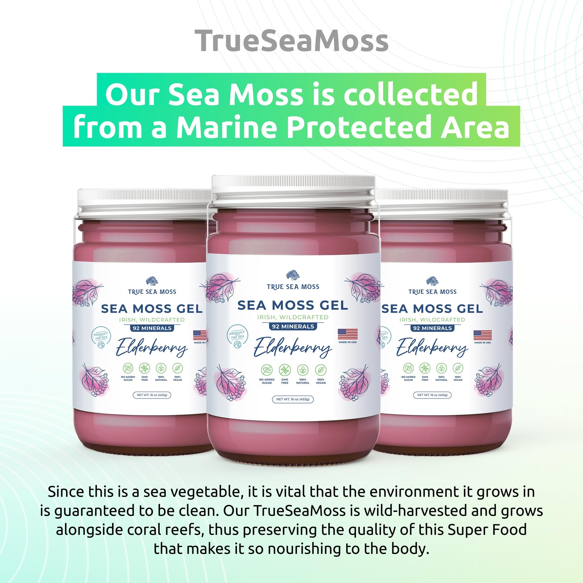 TrueSeaMoss Wildcrafted Irish Sea Moss Gel – Nutritious Organic Raw Seamoss Rich TrueSeaMoss buy supplements canada