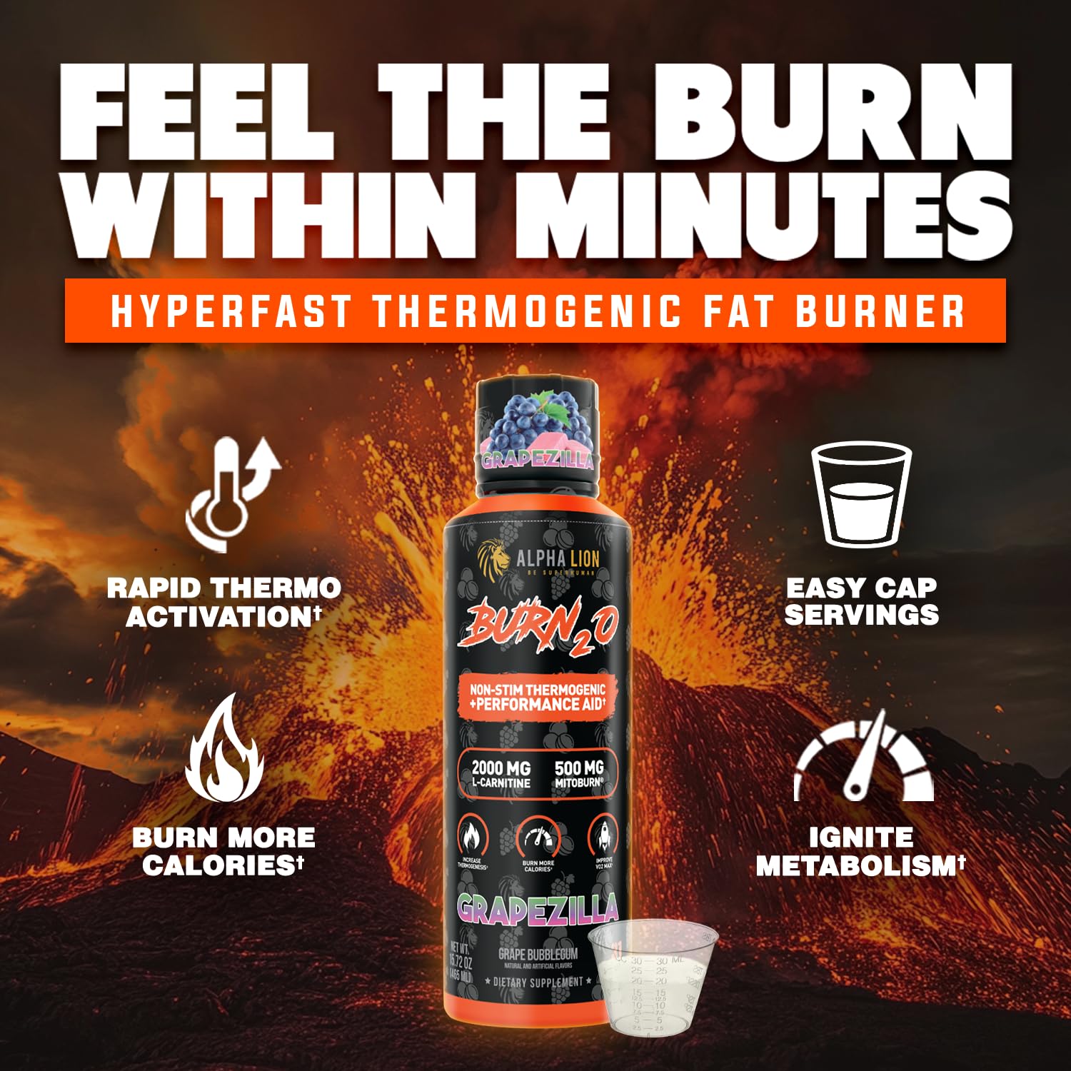 ALPHA LION Burn2O L-Carnitine Liquid 2000mg – Stim Free Super Thermogenic Fat Burner with MitoBurn® & CaloriBurn GP®, Metabolism Booster, Zero Calorie ALPHA LION buy supplements canada