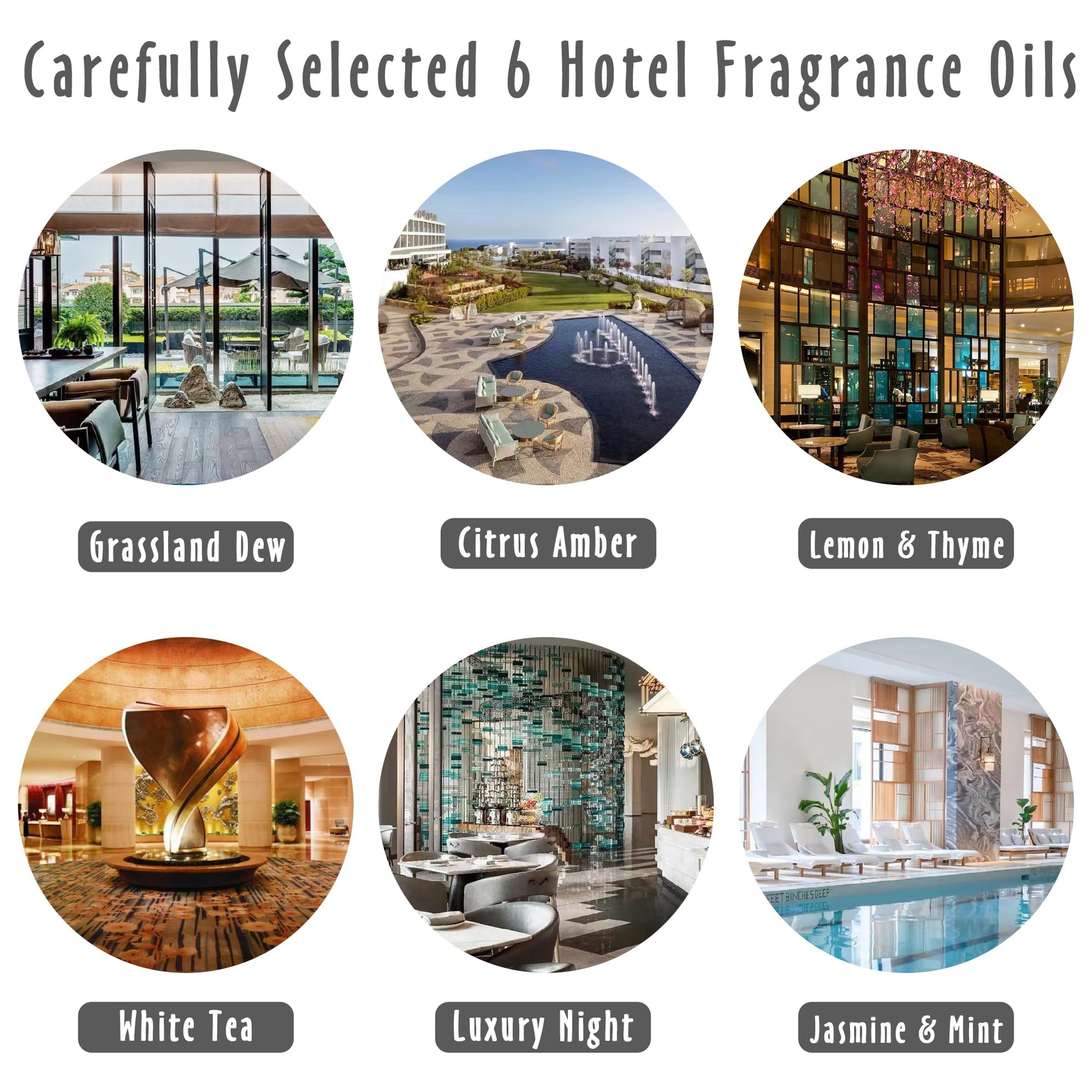 Fragrance Oils, MitFlor Hotel Collection Diffuser Oil for Home, Soap & Candle Making Scents MitFlor buy supplements canada