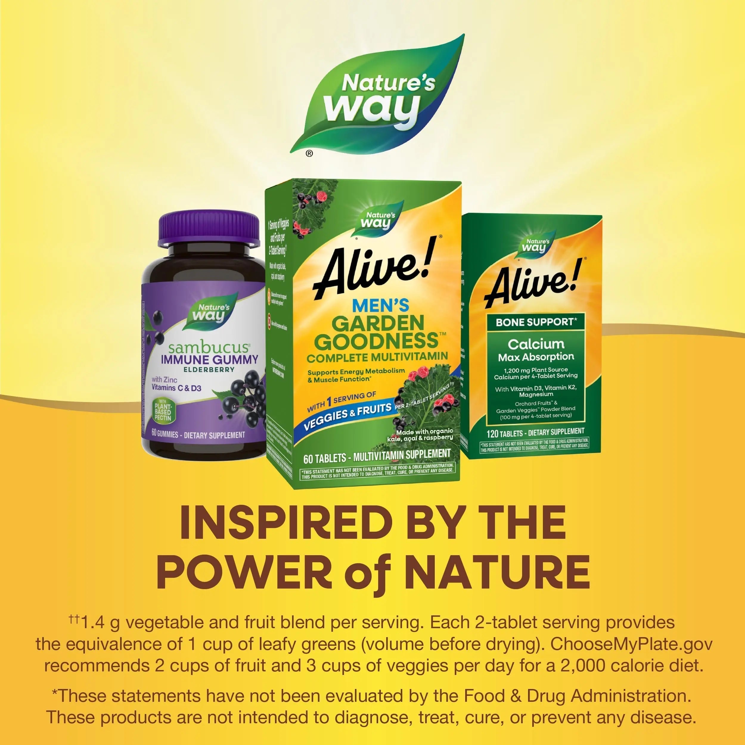 Nature's Way Alive! Garden Goodness Men's Multivitamin, Veggie & Fruit Blend (1400mg per serving), Made with Organic Kale, 60 Count Nature's Way buy supplements canada