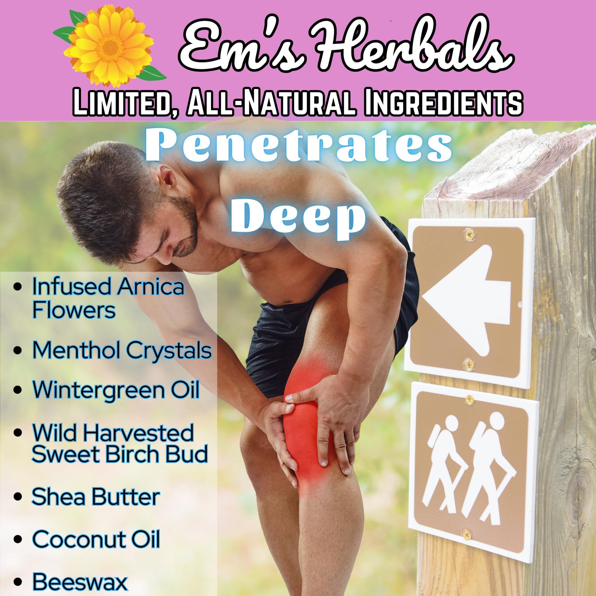 Em's Herbals, Muscle & Joint Care Arnica Salve - Amplified Arnica Salve Made with Menthol Crystals, and Effective Essential Oils to Penetrate Deep into Muscles, Joints, and Back Discomfort (2 oz) Em's Herbals buy supplements canada