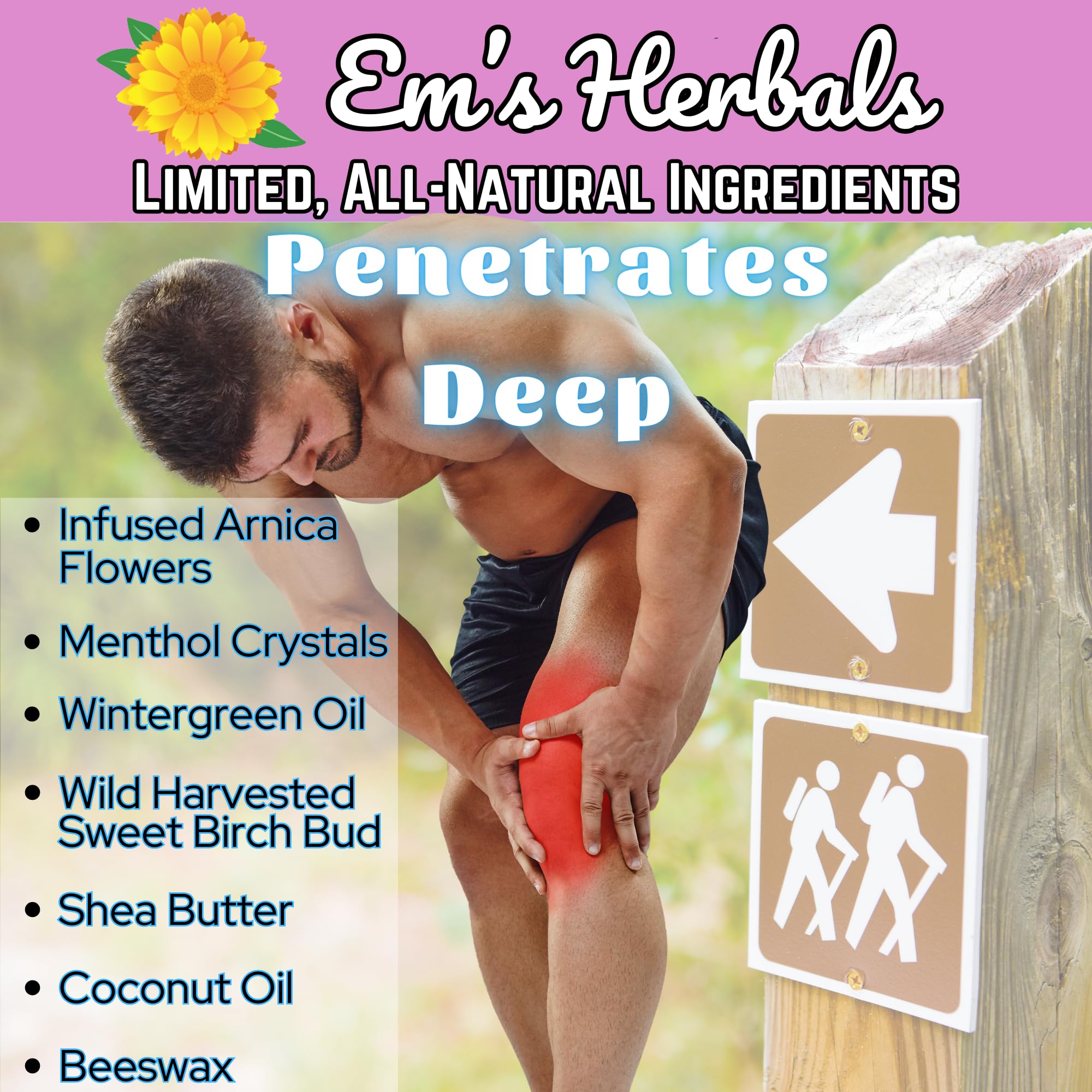 Em's Herbals, Muscle & Joint Care Arnica Salve - Amplified Arnica Salve Made with Menthol Crystals, and Effective Essential Oils to Penetrate Deep into Muscles, Joints, and Back Discomfort (2 oz) Em's Herbals buy supplements canada