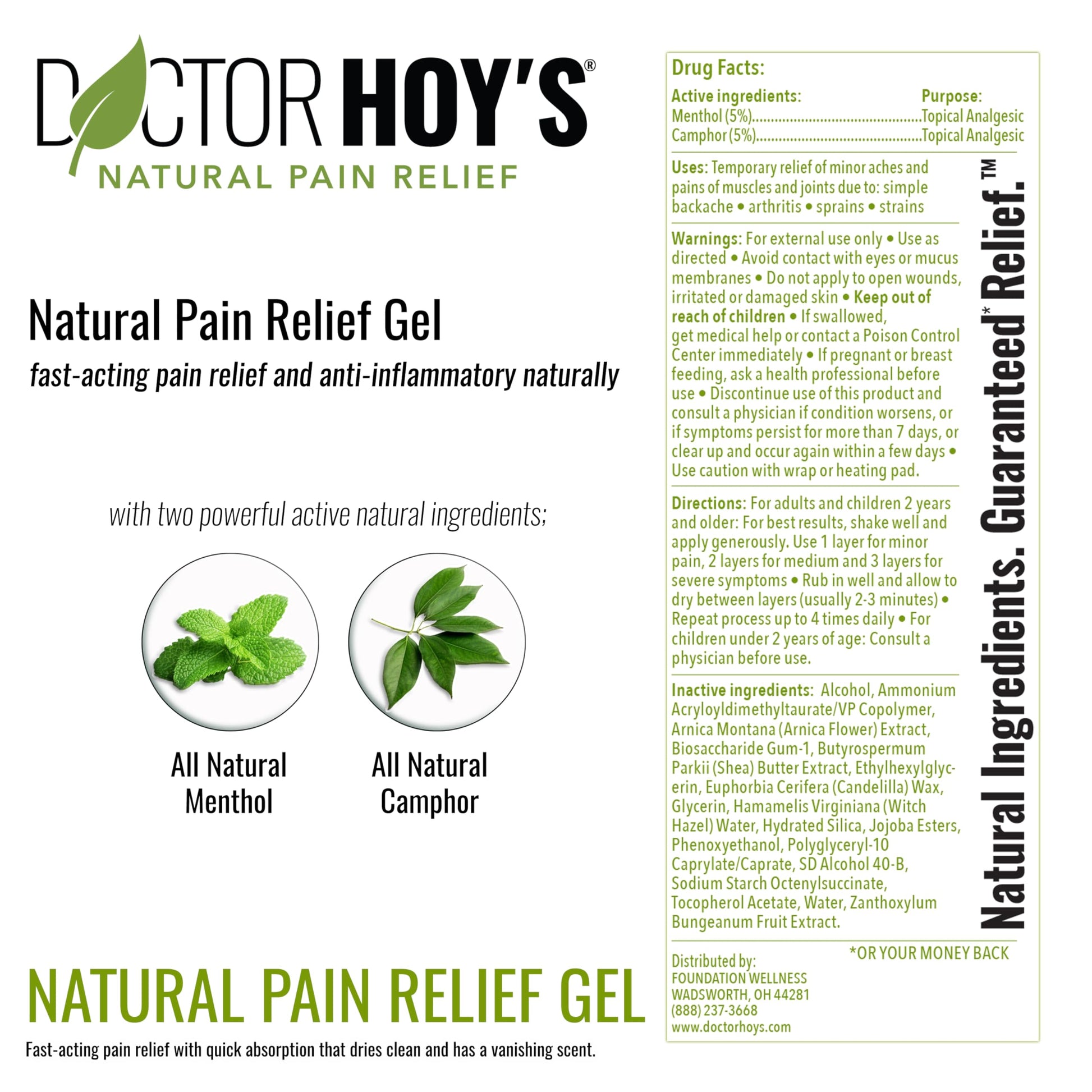 DOCTOR HOY'S Natural Pain Relief Gel, Topical Arnica Anti-Inflammatory Gel for Arthritis, Joint Pain, and Muscle Strains - Clean, Safe and Effective Pain Relief DOCTOR HOY'S buy supplements canada