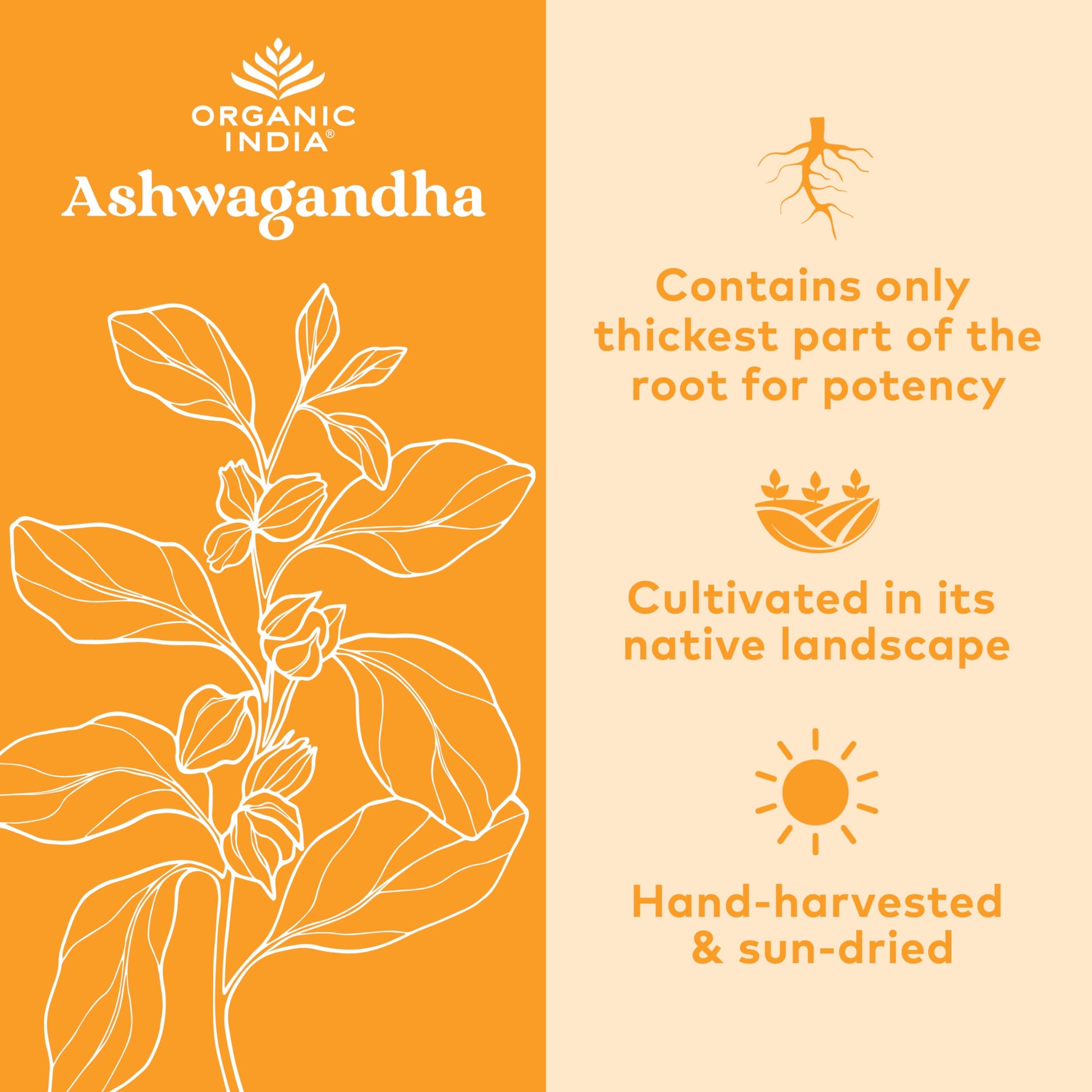 Organic India Ashwagandha Herbal Supplement - Stress Response Support, Vegan, Gluten Organic India buy supplements canada