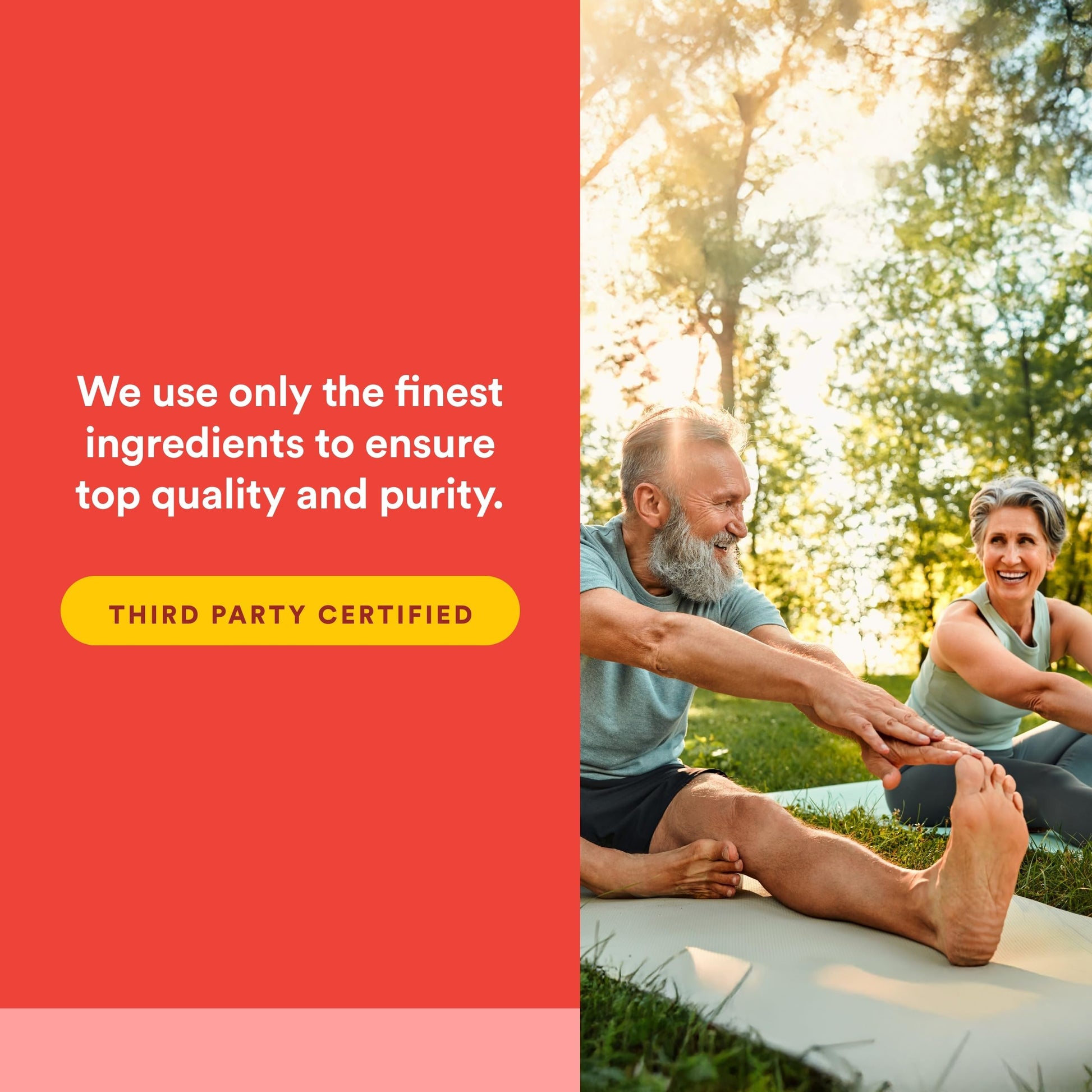Natural Factors, Celadrin Joint Health, Promotes Flexibility, Mobility and Joint Function, 90 Softgels Natural Factors buy supplements canada
