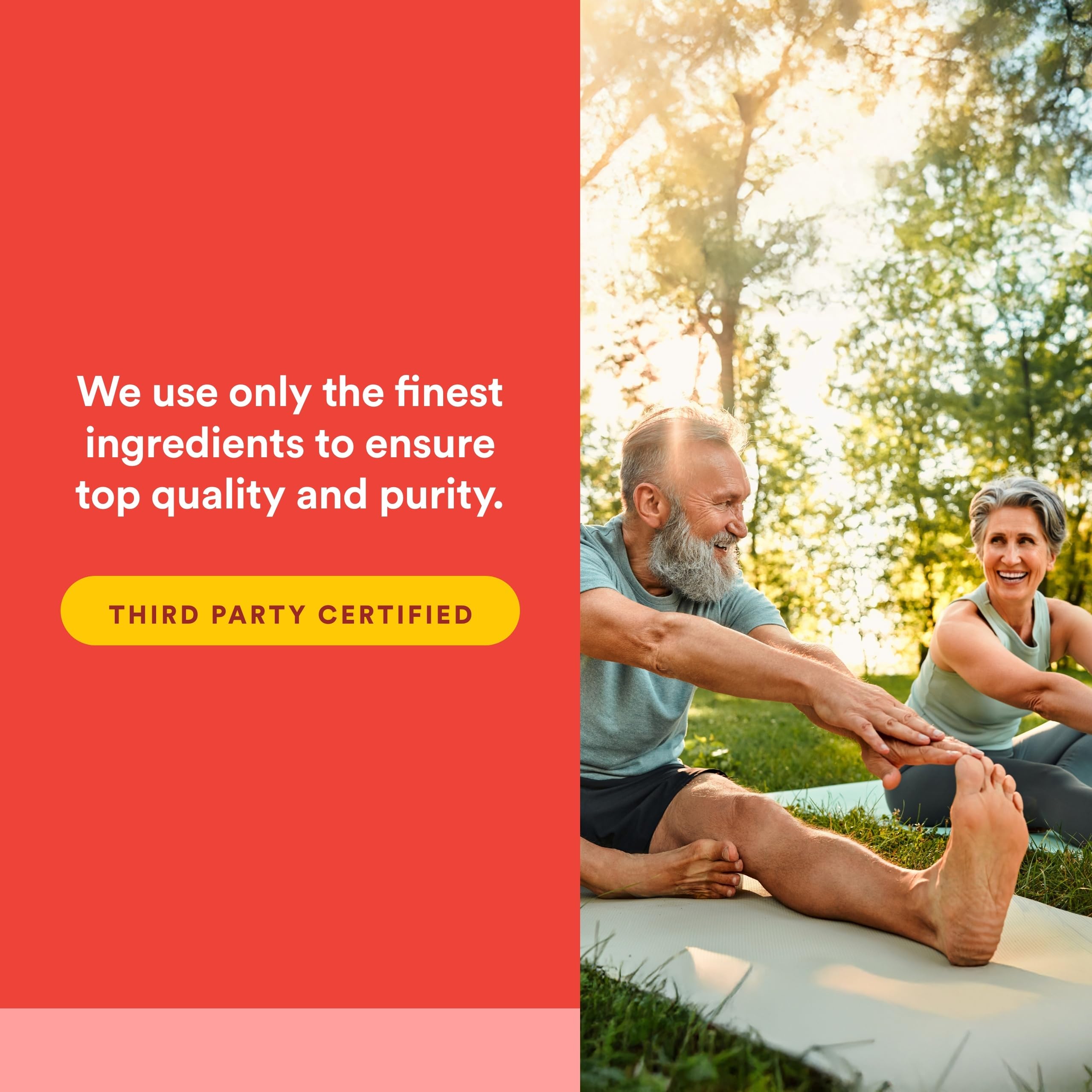 Natural Factors, Celadrin Joint Health, Promotes Flexibility, Mobility and Joint Function, 90 Softgels Natural Factors buy supplements canada