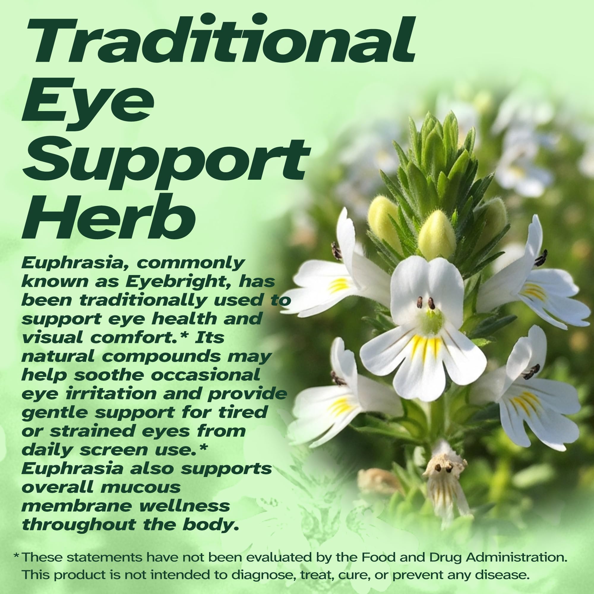 Vitalumina Eyebright Herbal Liquid with Organic Euphrasia, Lutein, Bilberry, Blueberry & Goji – Plant-Based Vegan Supplement for Adults – 4 fl oz Vitalumina buy supplements canada