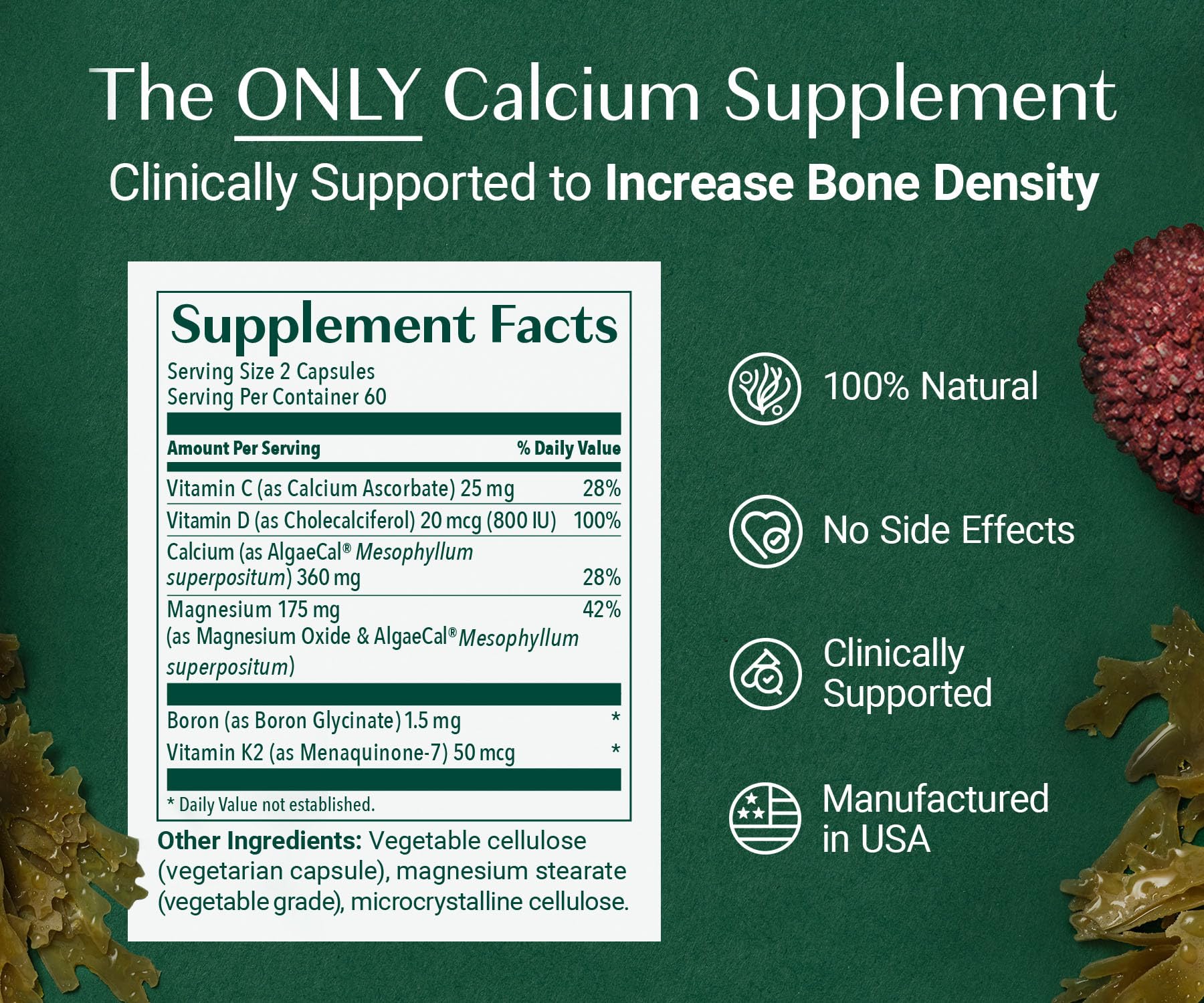 ALGAECAL Organic Red Algae Calcium Supplement for Bone Density, Vitamin K2 MK7 (100mg), Vitamin D3 (1600 IU), Magnesium (350mg) & Trace Minerals & Strength