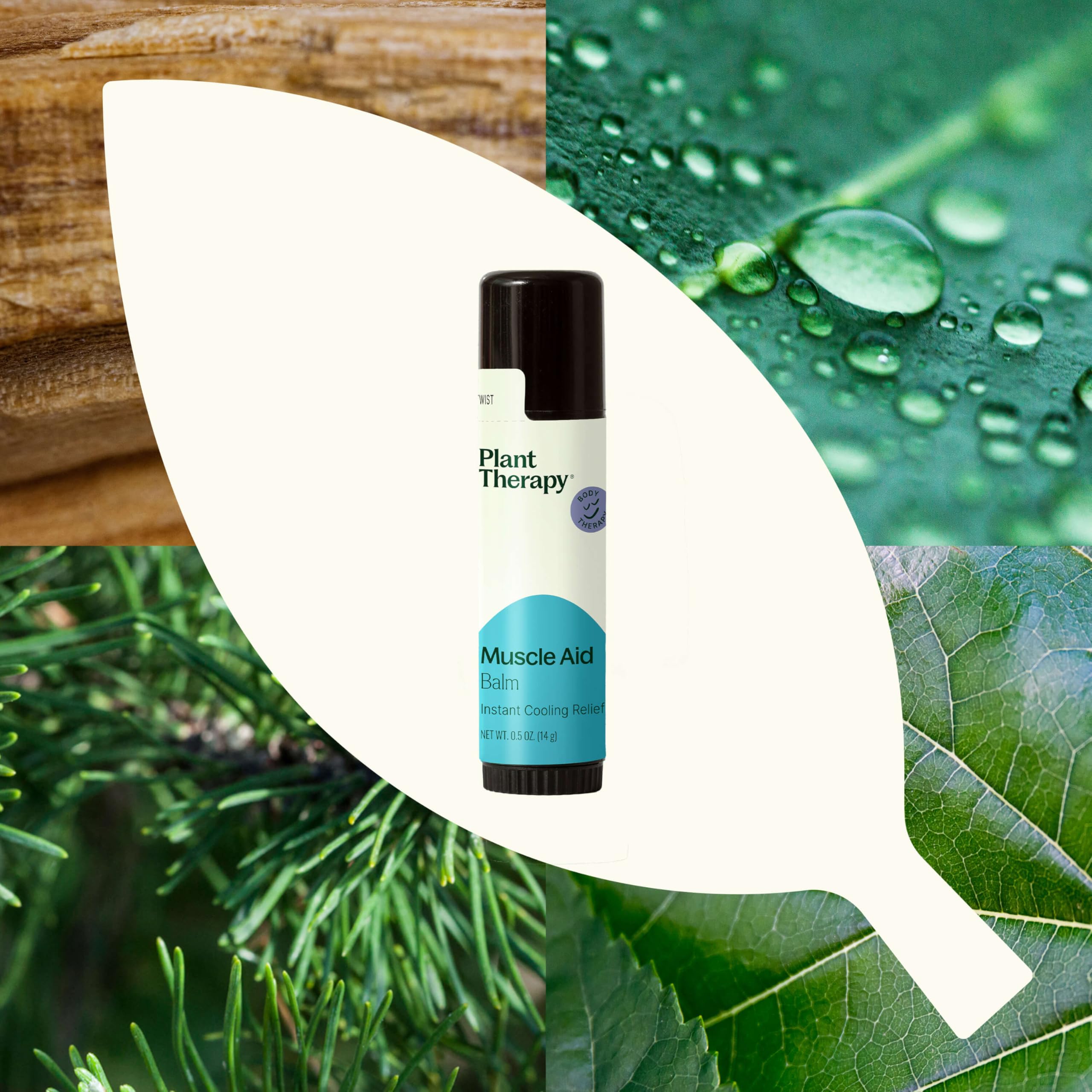 Plant Therapy Muscle Aid Balm .5 oz Soft & Creamy Balm, Cooling Relief, Natural Ingredients Plant Therapy buy supplements canada