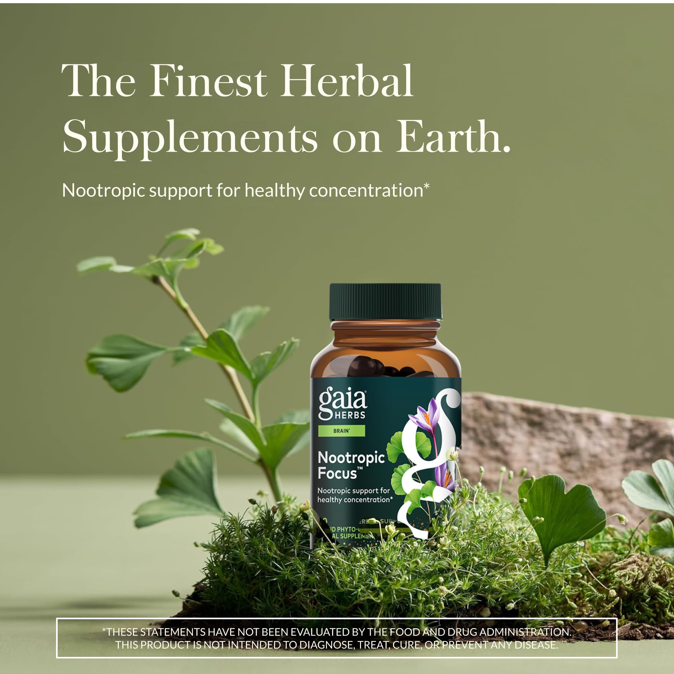 Gaia Herbs Nootropic Focus - Brain & Cognitive Support Supplement to Help Maintain Healthy Concentration* - with Saffron, Lemon Balm & Spearmint - 40 Liquid Phyto-Capsules (20 Servings) Gaia Herbs buy supplements canada