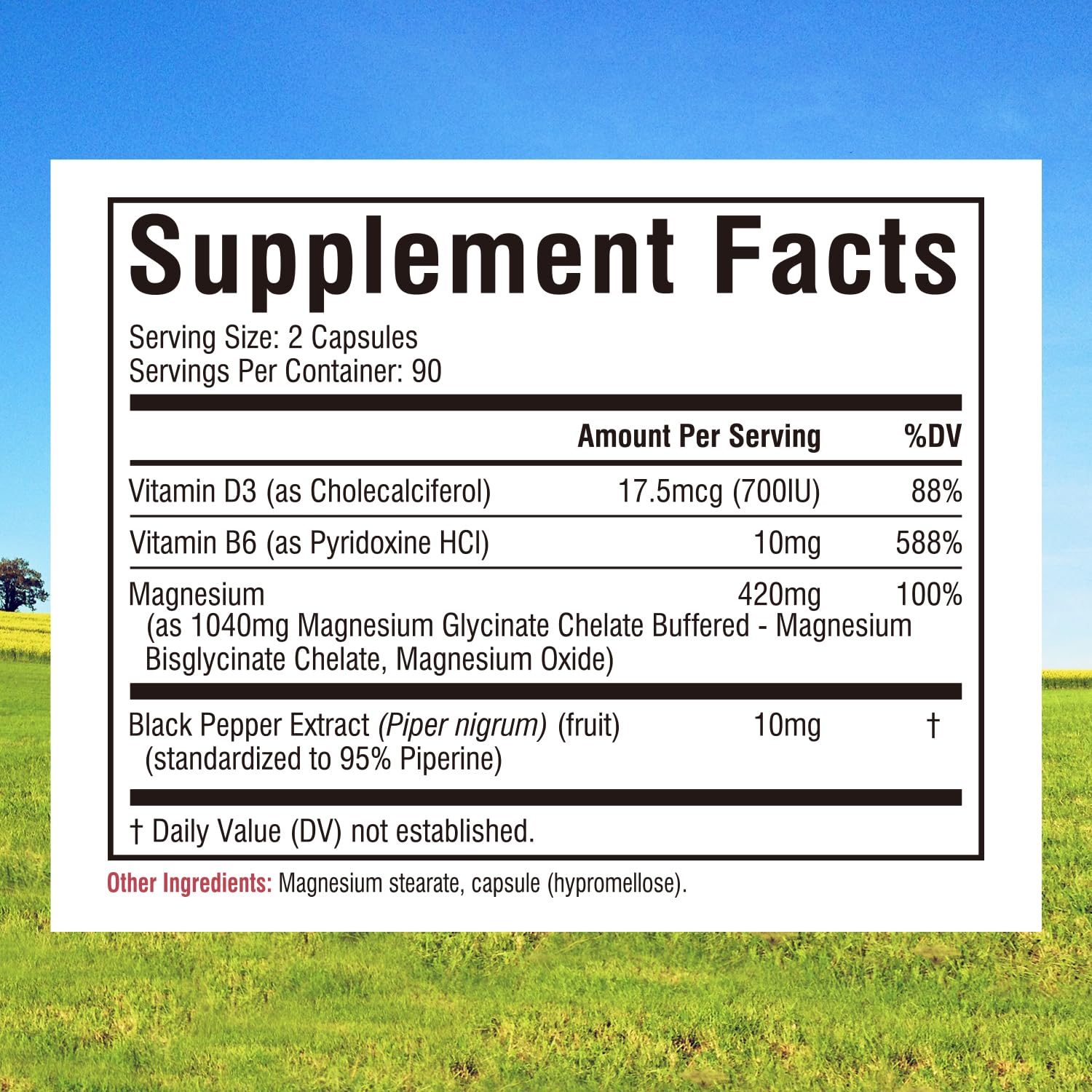 Innate Vitality Magnesium Glycinate Complex, 420mg Elemental Magnesium Per Serving, Enhanced Absorption, Black Pepper, Vitamin D3 & B6, Sleep Mood Bone Nerve Support, 180 Caps Innate Vitality buy supplements canada
