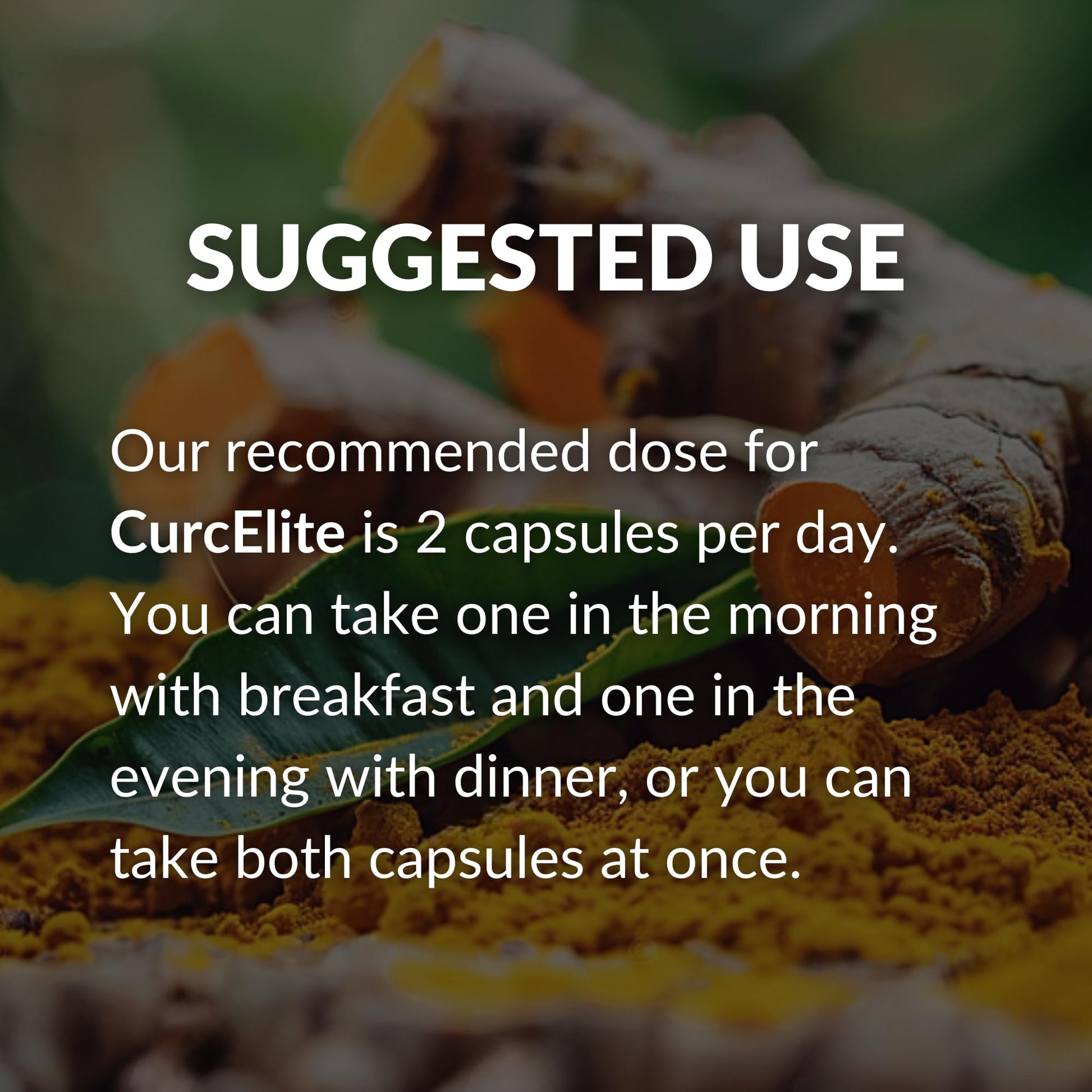 Mara Labs CurcElite Curcumin | Turmeric Extract 95% Curcuminoids | Vegan, No Fillers, and Non-GMO | 60 Vegan Capsules BrocElite buy supplements canada