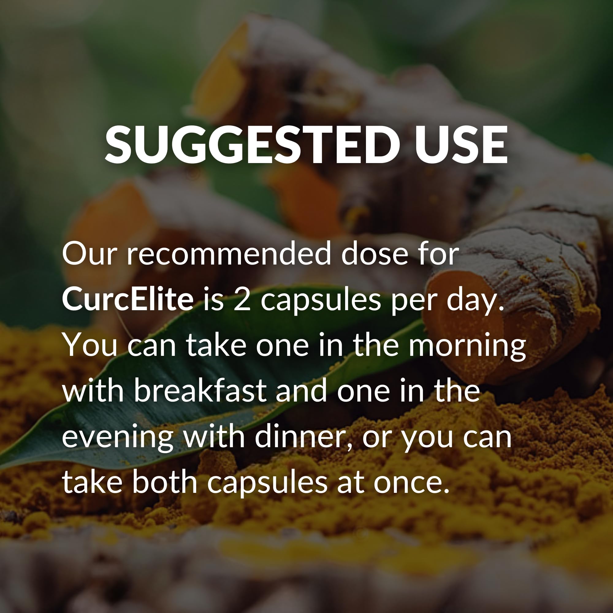 Mara Labs CurcElite Curcumin | Turmeric Extract 95% Curcuminoids | Vegan, No Fillers, and Non-GMO | 60 Vegan Capsules BrocElite buy supplements canada