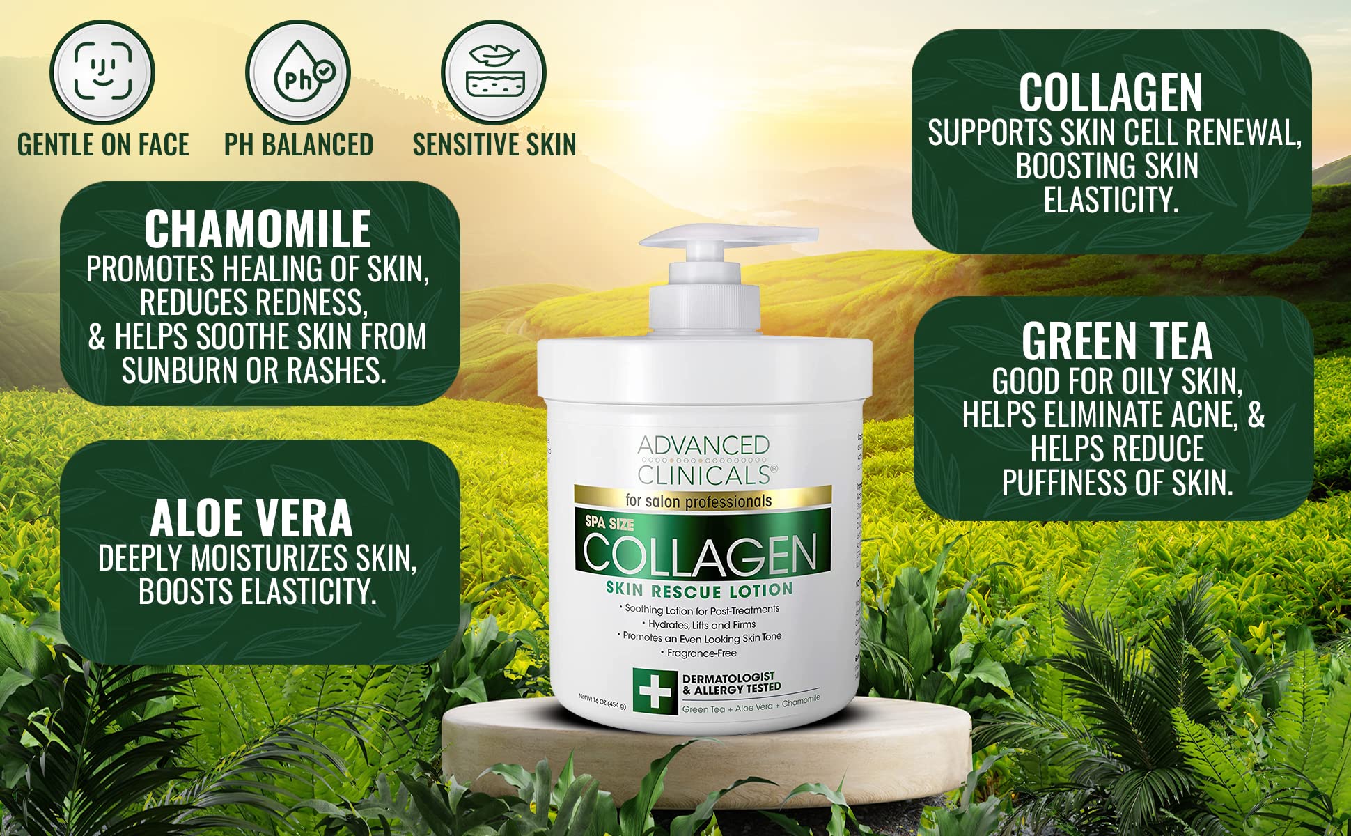Advanced Clinicals Retinol Body Lotion + Collagen Cream 2pc Body Skin Care Set Advanced Clinicals buy supplements canada
