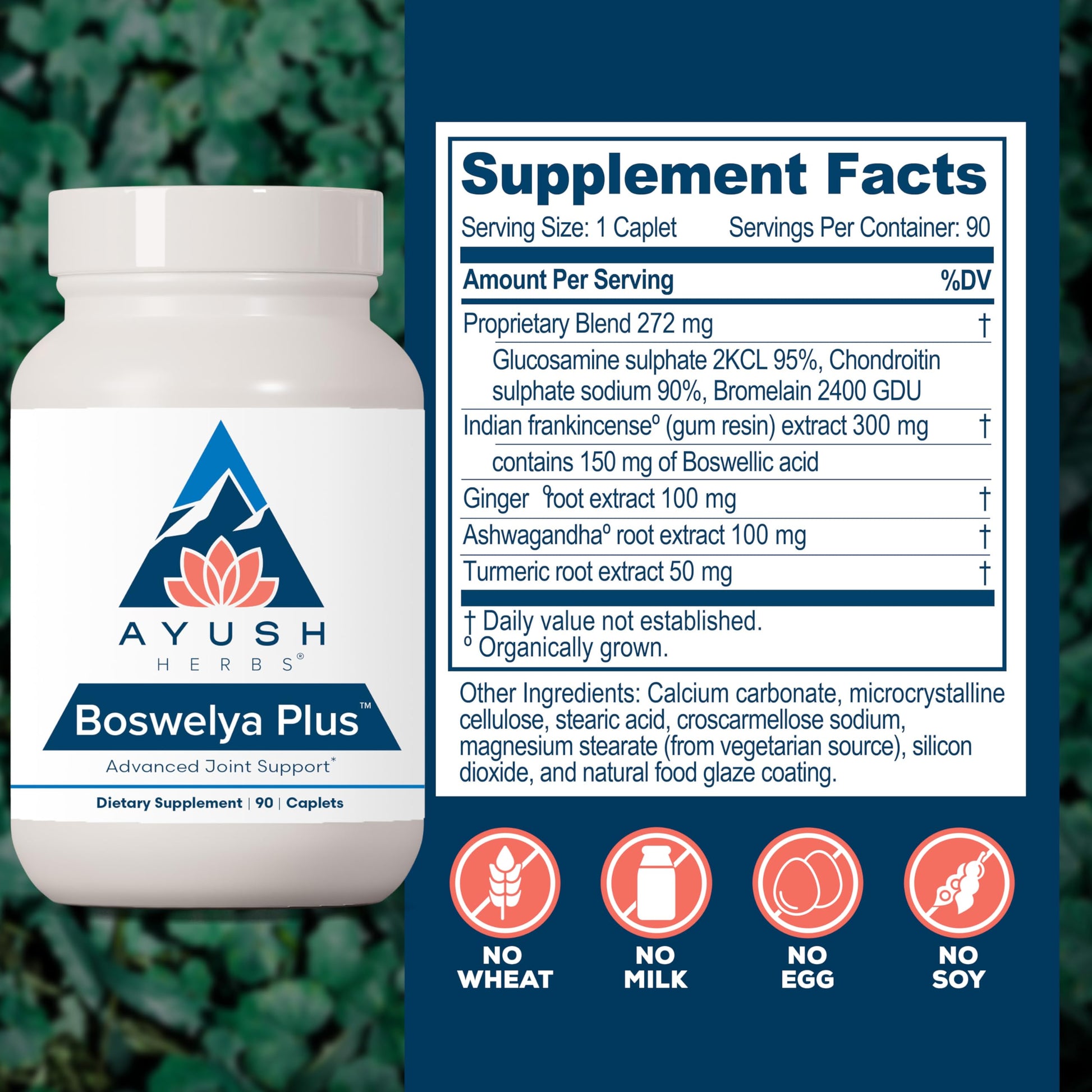 Ayush Herbs Boswelya Plus - Glucosamine Chondroitin Joint Support Supplement, Turmeric Muscle Support for Men & Women, Joint Care with Curcumin - 90 Vegetarian Capsules (1 Count) Ayush Herbs buy supplements canada