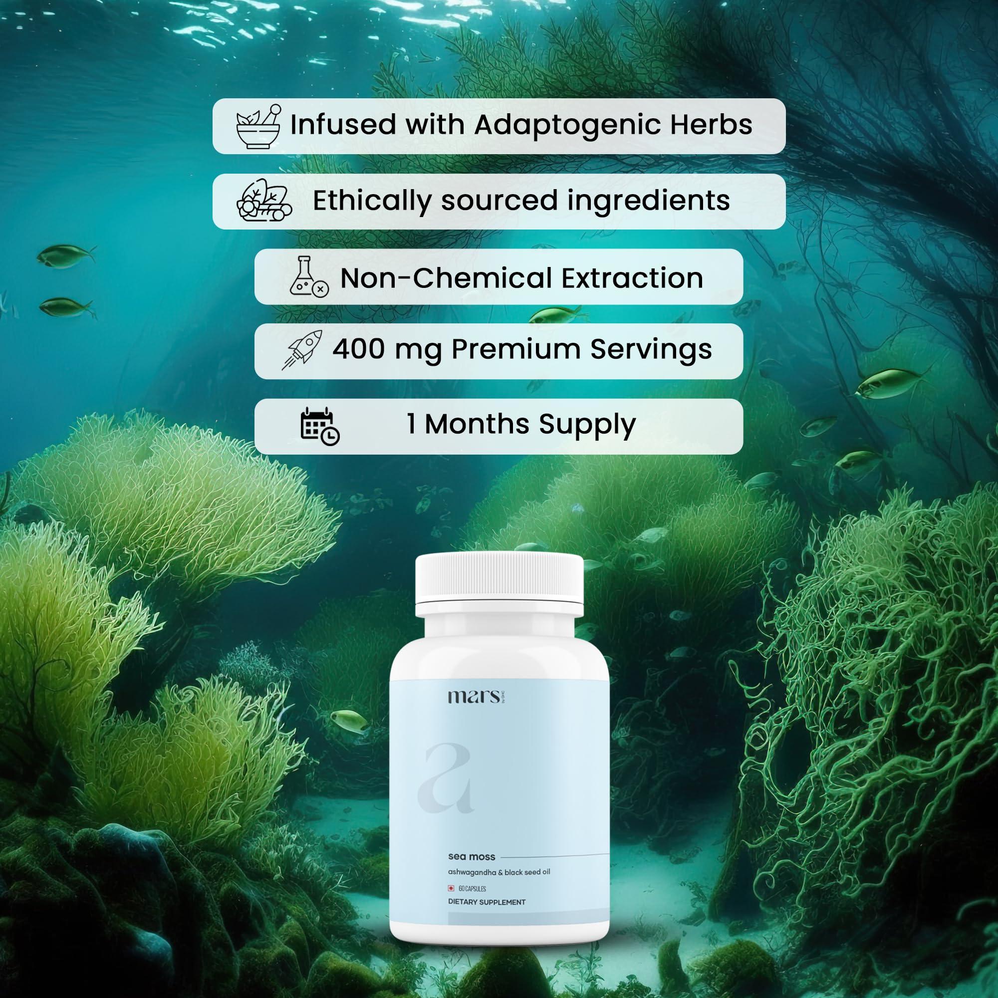 Mars Sea Moss Caps Surge Natural (60N) | Packed with 84 Essential Minerals | Powered with Black Seed Oil, Surgemax & Vitamin D3 | Overall Well-Being - Pack of 3 mars by GHC buy supplements canada