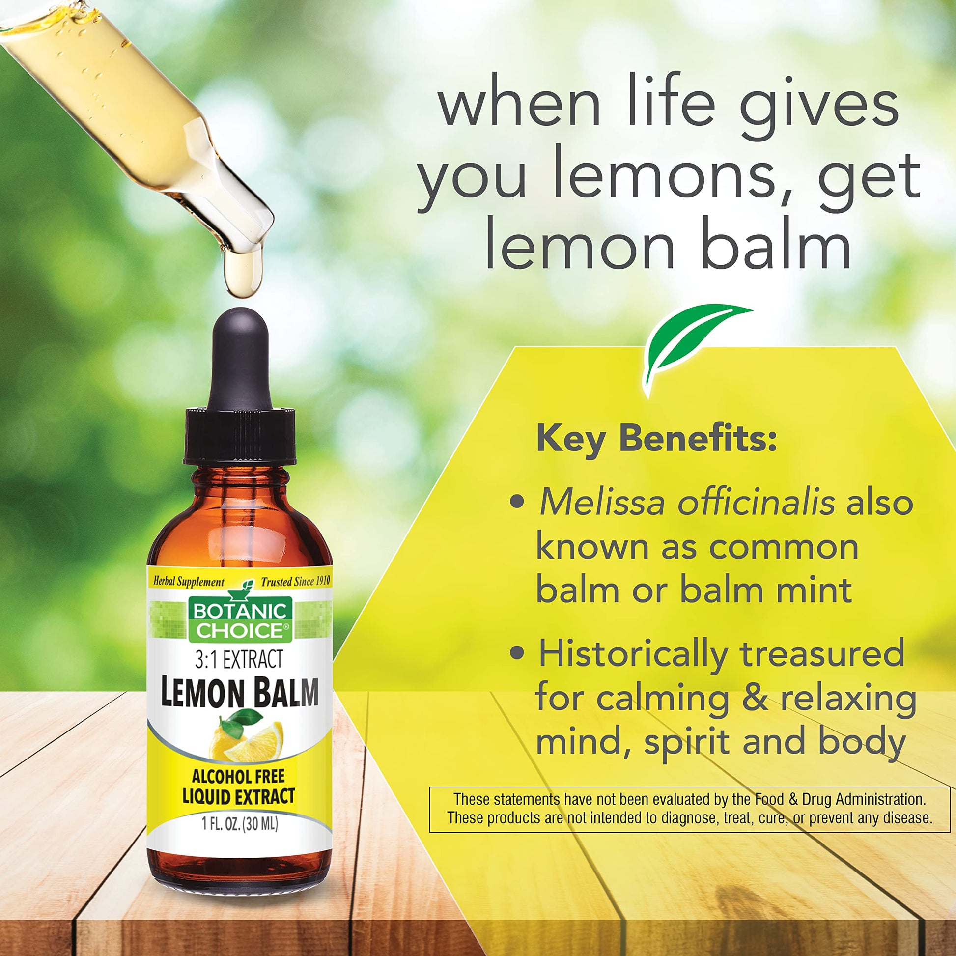 Botanic Choice Mega Fruits and Veggies Blend (60 Capsules) + Lemon Balm Tincture (1 fl oz) Bundle - Energy Balance & Superfood Supplement + Relaxation and Sleep Support Botanic Choice buy supplements canada