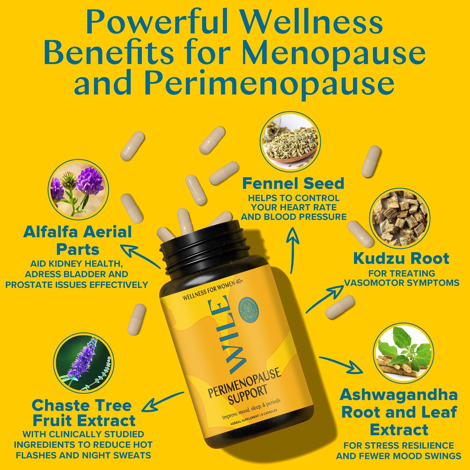 WILE Menopause and Perimenopause Supplements for Women with Ashwagandha - Menopausal Symptoms Relief for Stress, Hot Flashes, Night Sweats - Healthy Sleep & Hormone Balance Support, Vegan, 30 Servings WILE buy supplements canada