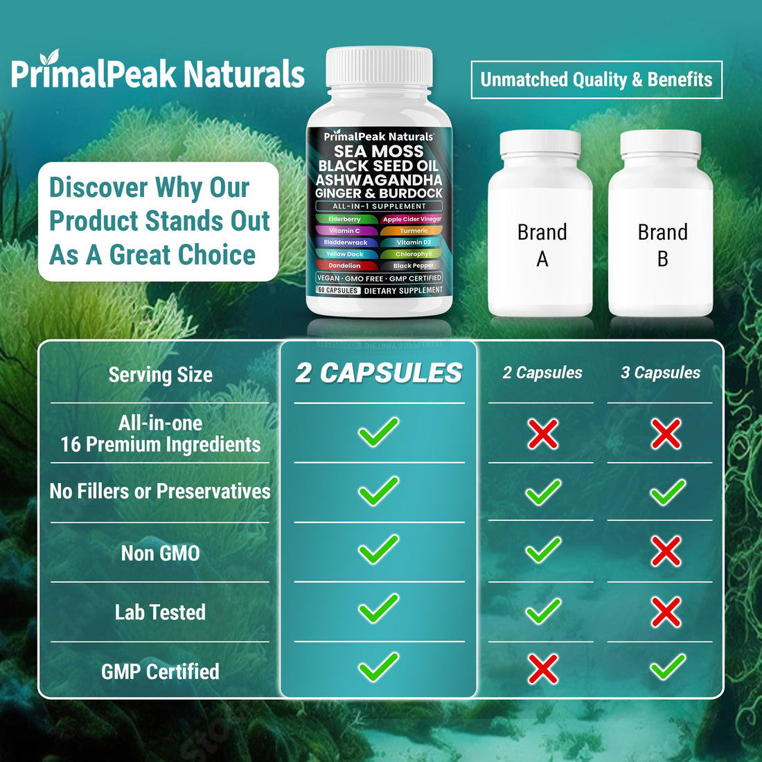 PrimalPeak Naturals Sea Moss Black Seed Oil Ashwagandha Ginger Burdock Bladderwrack Turmeric & Vitamin C Vitamin D3 with ACV Elderberry Chlorophyll Dandelion Yellow Dock Vegan Capsules - 60 Count PrimalPeak Naturals buy supplements canada