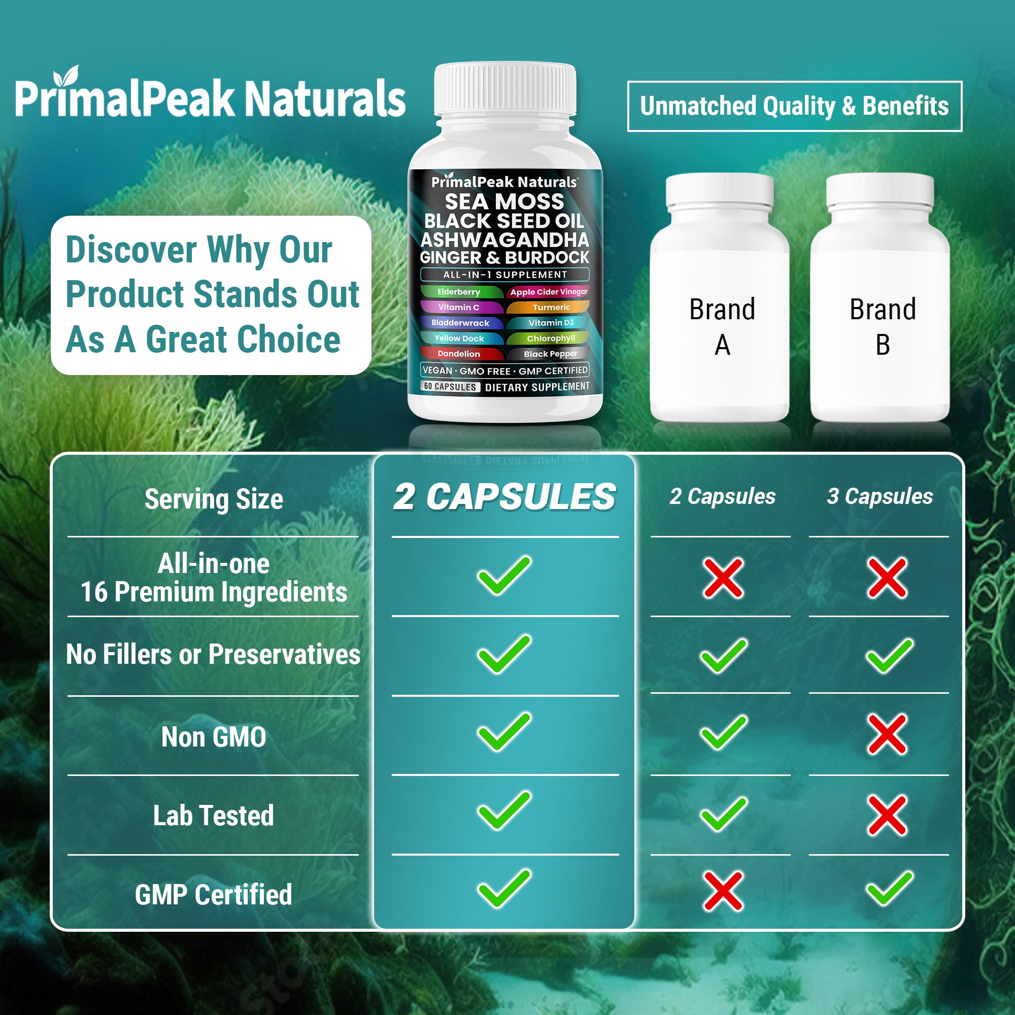 PrimalPeak Naturals Sea Moss Black Seed Oil Ashwagandha Ginger Burdock Bladderwrack Turmeric & Vitamin C Vitamin D3 with ACV Elderberry Chlorophyll Dandelion Yellow Dock Vegan Capsules - 60 Count PrimalPeak Naturals buy supplements canada