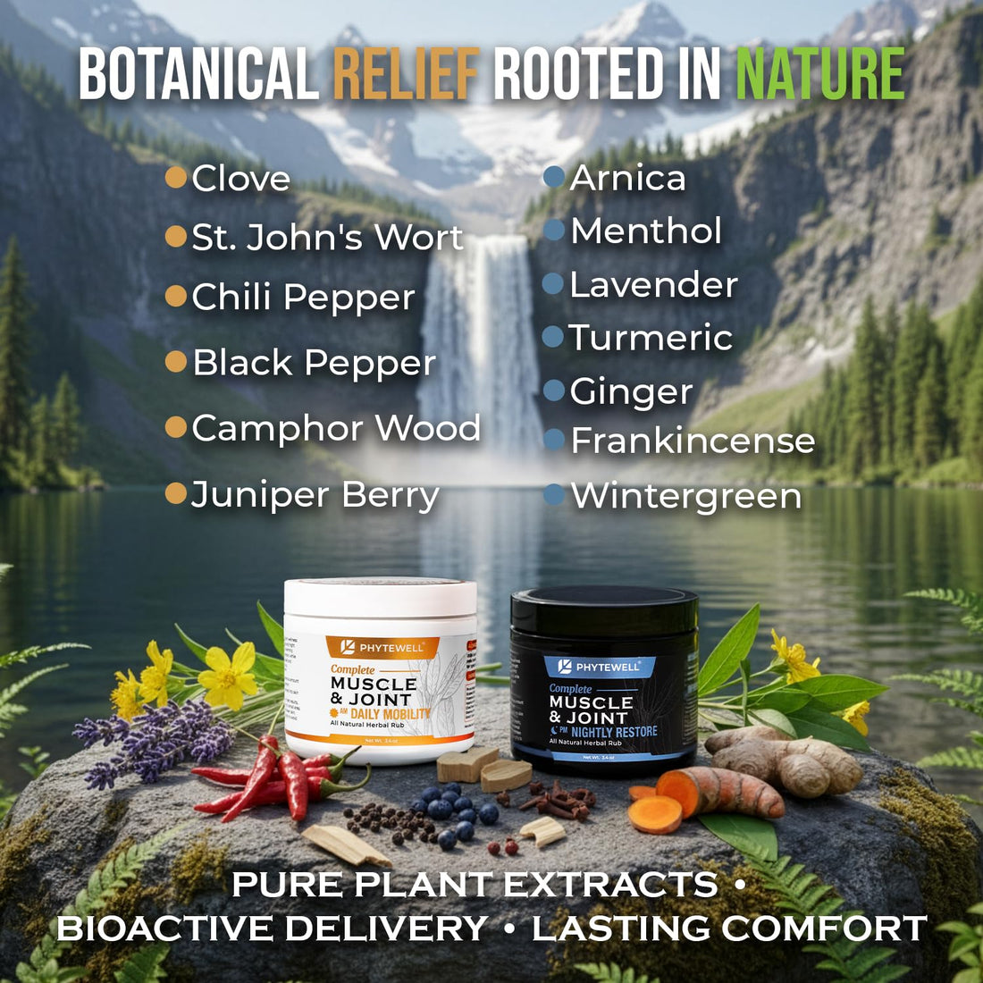 PHYTEWELL Muscle & Joint Rub Balm - Day & Night Pain Relief for Back, Knee, & Shoulder - Crafted with Arnica, Clove & Black Pepper to Support Recovery & Relaxation – Premium Non-Greasy Texture PHYTEWELL buy supplements canada