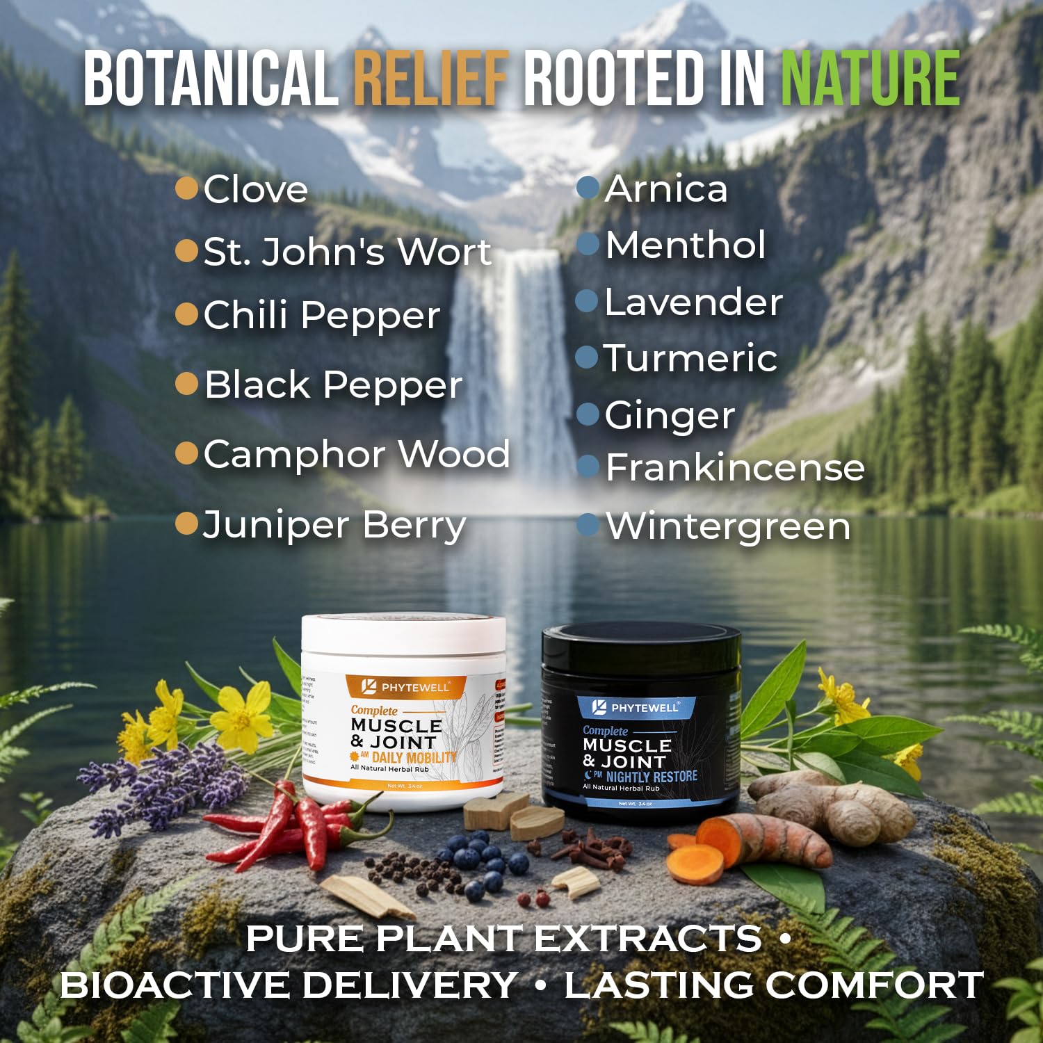 PHYTEWELL Muscle & Joint Rub Balm - Day & Night Pain Relief for Back, Knee, & Shoulder - Crafted with Arnica, Clove & Black Pepper to Support Recovery & Relaxation – Premium Non-Greasy Texture PHYTEWELL buy supplements canada