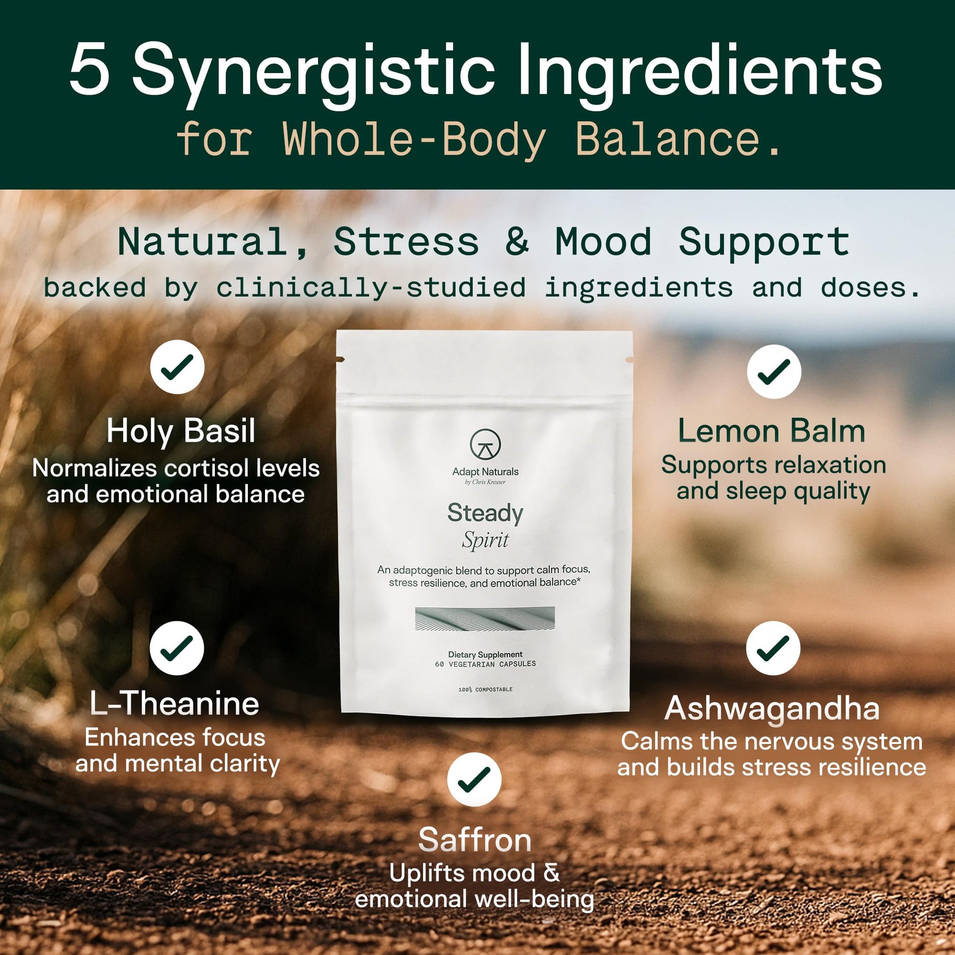 Adapt Naturals Steady Spirit Stress, Anxiety & Mood Support Supplement for Women and Men with Ashwagandha, L-Theanine, Holy Basil, Saffron, and Lemon Balm - Stress Relief Supplement - 30 Day Supply ADAPT NATURALS BY CHRIS KRESSER buy supplements canada