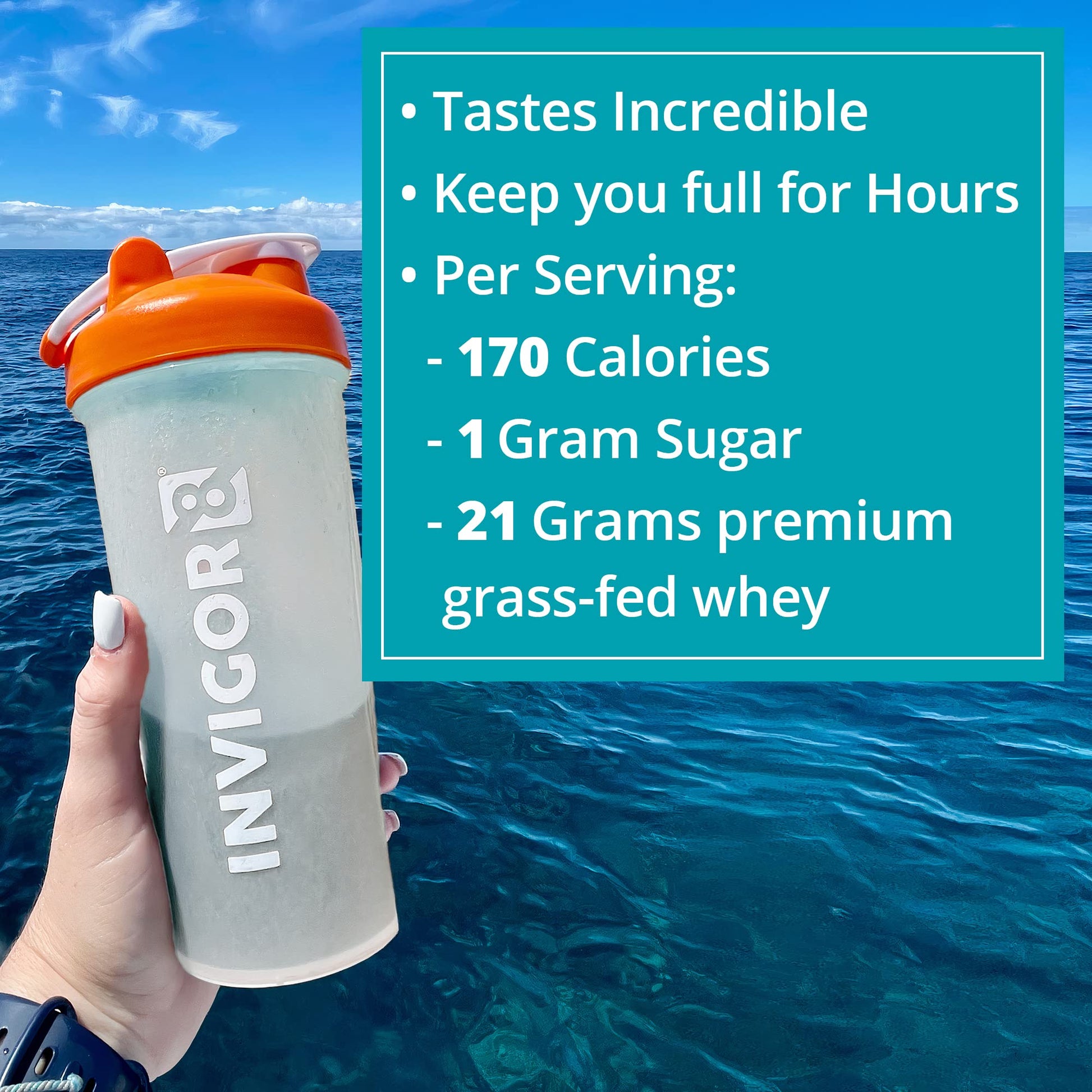 INVIGOR8 Superfood Grass Fed Whey Protein Isolate Shake French Vanilla Gluten-Free INVIGOR8 buy supplements canada