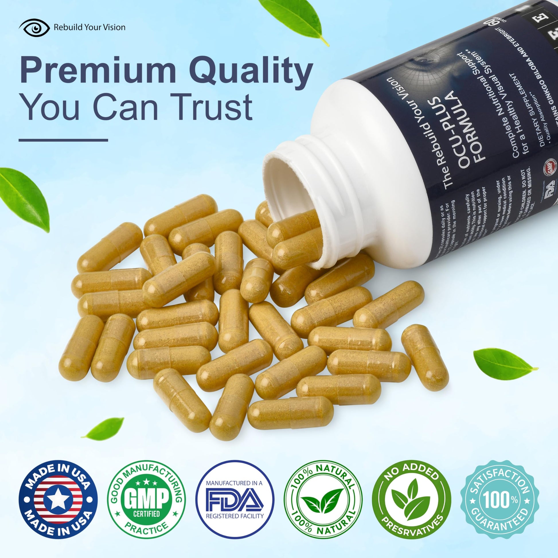 Rebuild Your Vision Ocu-Plus Formula – Eye Health Supplement with Lutein & Zeaxanthin – Supports Visual Clarity, Night Vision & Macular Health – with Bilberry, Ginkgo Biloba & NAC – 60 Capsules Rebuild Your Vision buy supplements canada