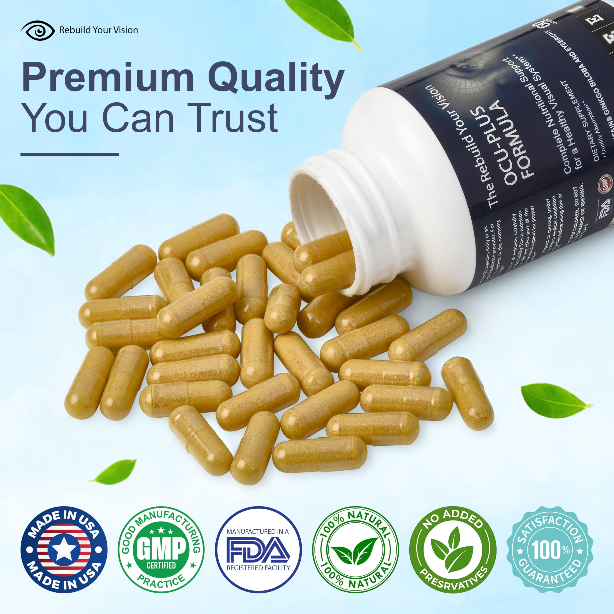 Rebuild Your Vision Ocu-Plus Formula – Eye Health Supplement with Lutein & Zeaxanthin – Supports Visual Clarity, Night Vision & Macular Health – with Bilberry, Ginkgo Biloba & NAC – 60 Capsules Rebuild Your Vision buy supplements canada