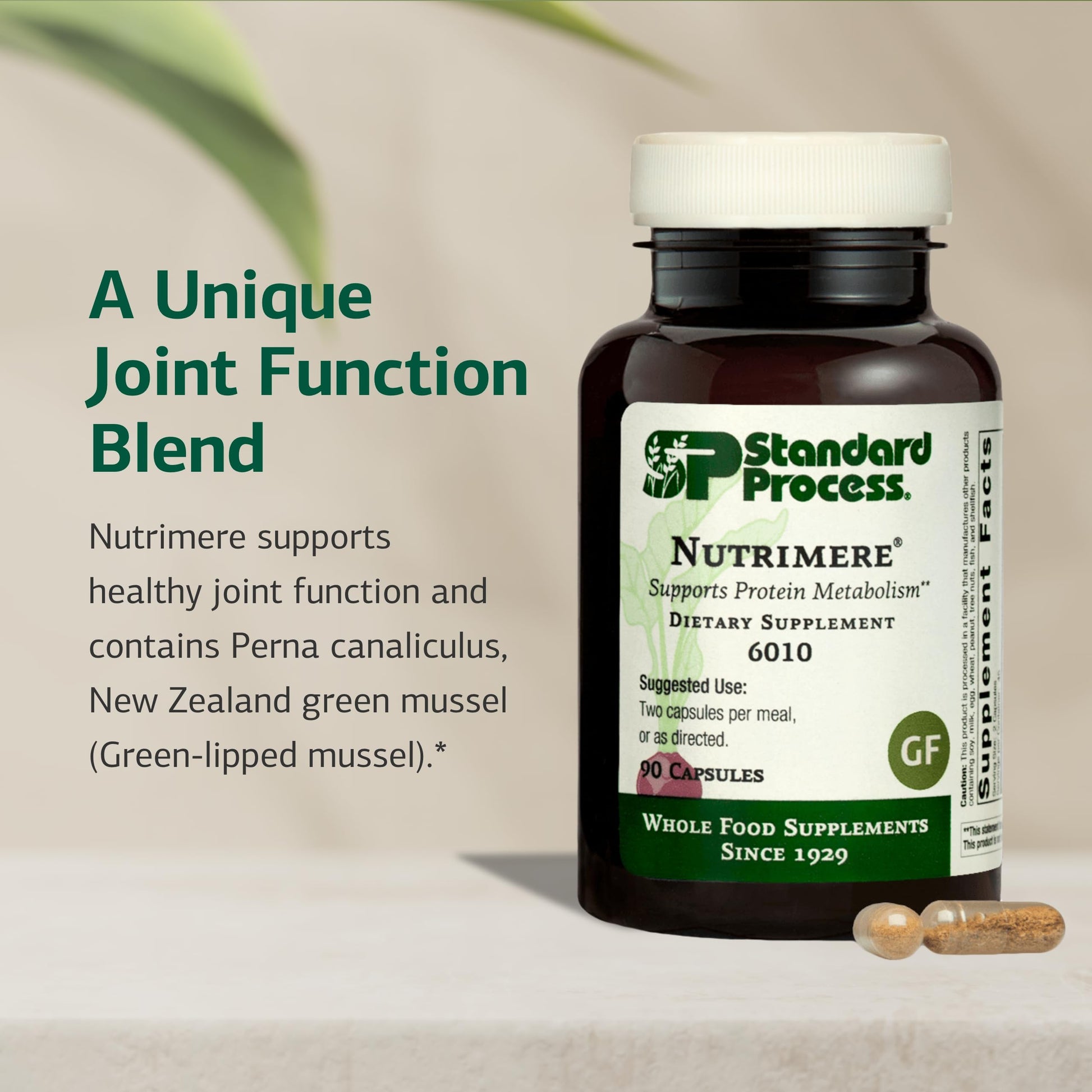 Standard Process Nutrimere - Supports Joint Health - Joint Supplement with Perna Canaliculus & New Zealand Green Mussel - Gluten-Free, Non-Soy & Non-Dairy - 90 Capsules Standard Process Inc. buy supplements canada