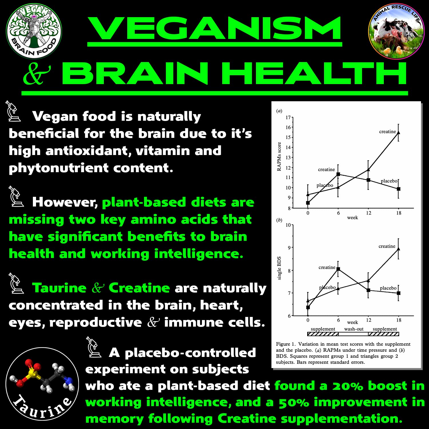Vegan Brain & Body Boost: The Cherry On Top of A Plant-Based Lifestyle | Working Intelligence | Anti-Aging | Physical Fitness | Vegan Amino Acids - Creatine, Taurine & Beta Alanine | 40 Servings/300g Vegan Brain Food buy supplements canada