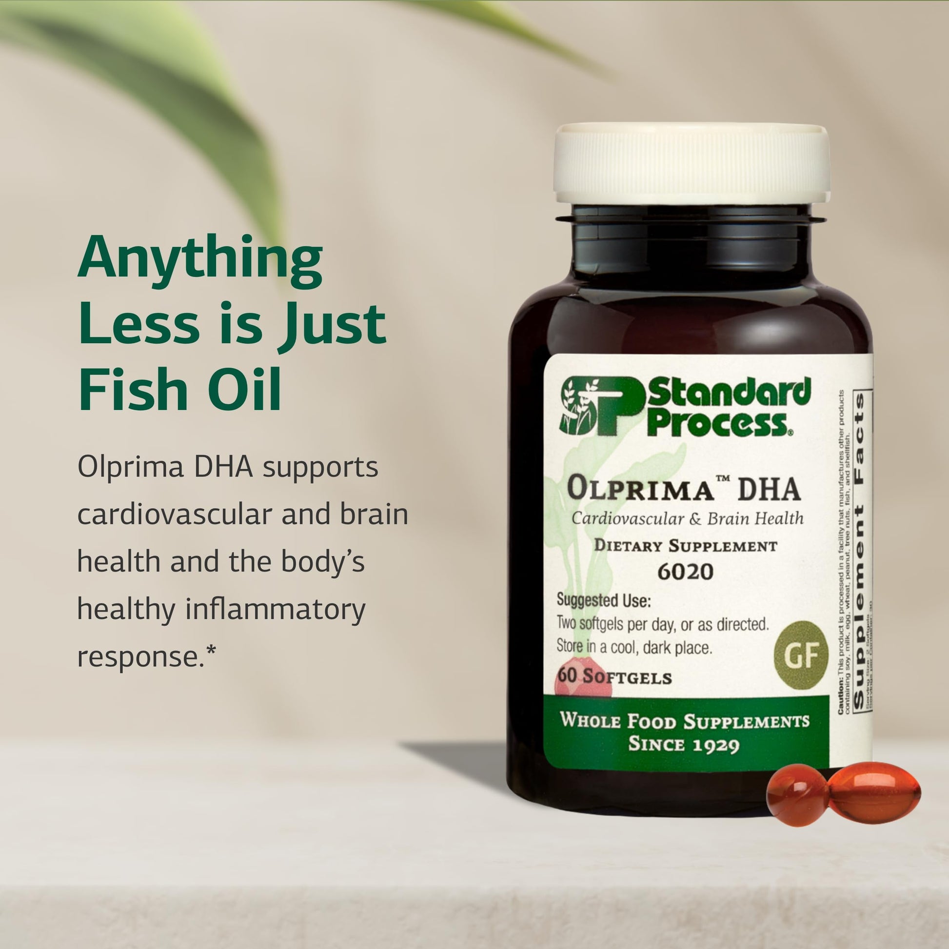 Standard Process Olprima DHA - Omega-3 Supplement for Heart & Brain Health - Gluten-Free, Non-Dairy & Non-Soy - 60 Softgels (30 Servings) Standard Process Inc. buy supplements canada